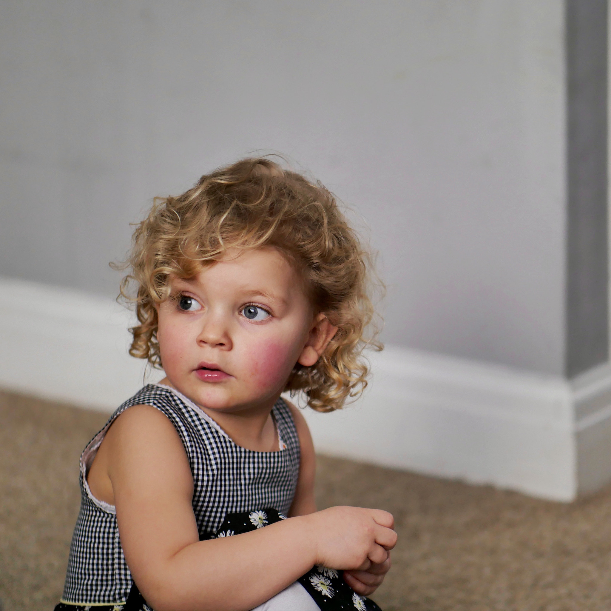 Panasonic Leica DG Nocticron 42.5mm F1.2 ASPH OIS sample photo