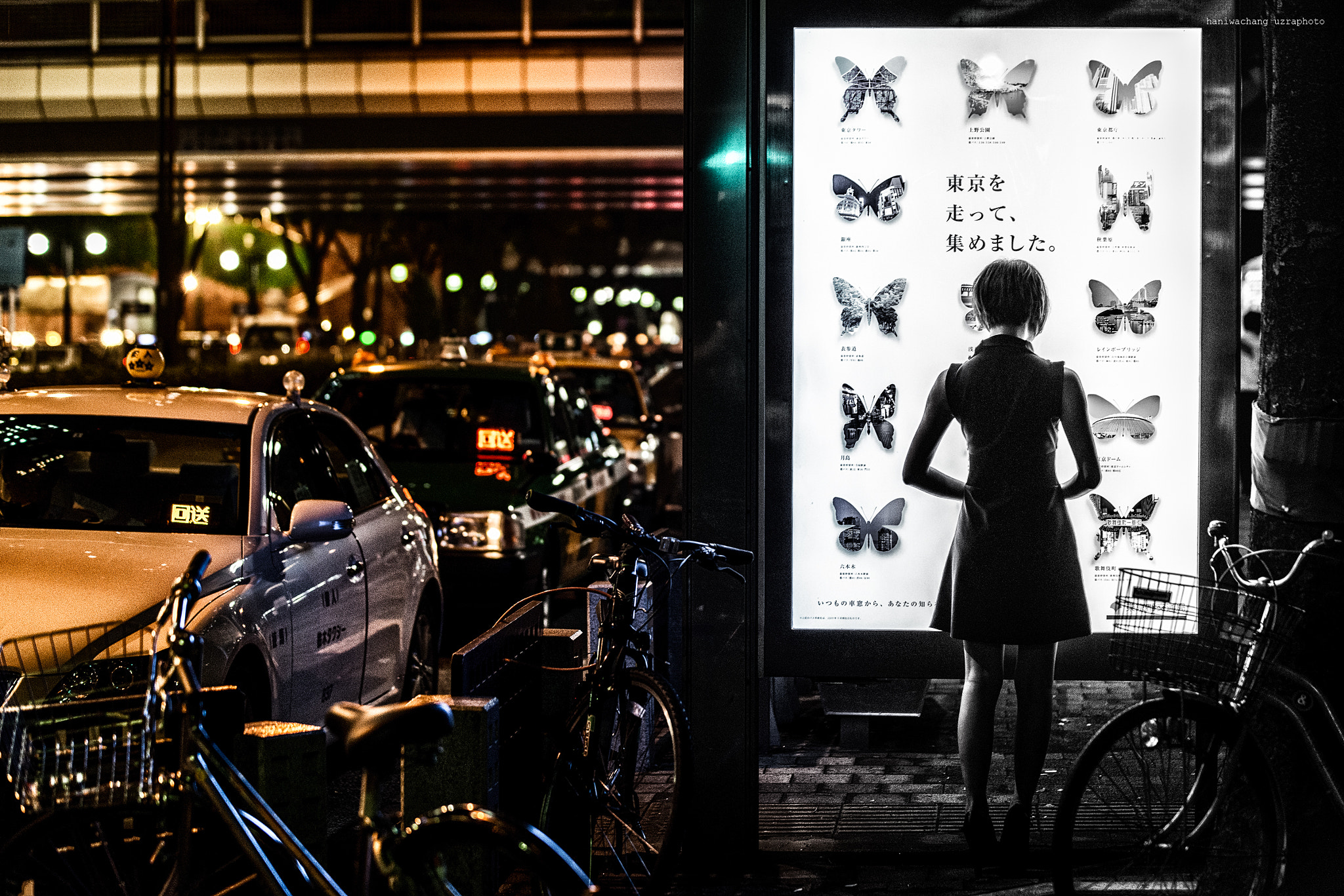 Nikon D800E sample photo. At night photography