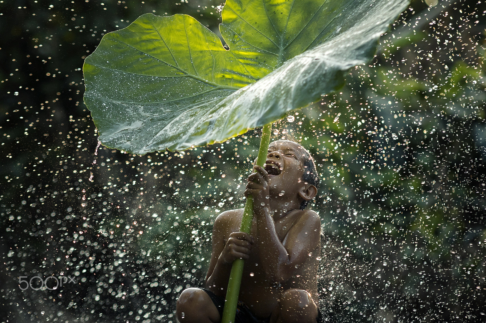 Canon EOS 70D + Sigma 70-200mm F2.8 EX DG OS HSM sample photo. In the rain. photography