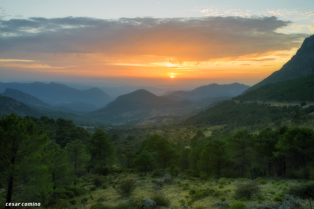 Nikon D4 sample photo. Sierra de grazalema - cádiz photography