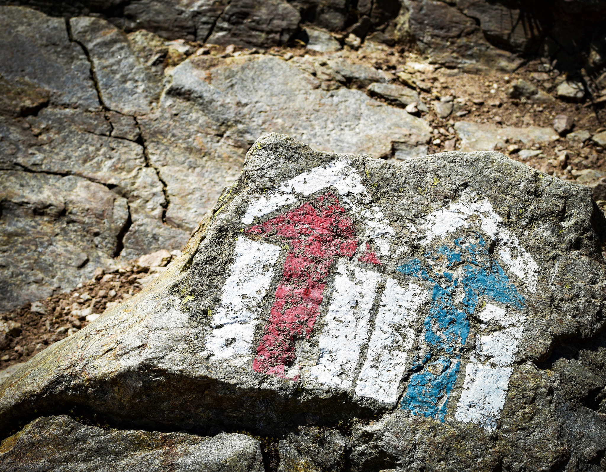 Nikon D5500 + Tamron SP 90mm F2.8 Di VC USD 1:1 Macro (F004) sample photo. Red and blue hiking trail showing direction photography