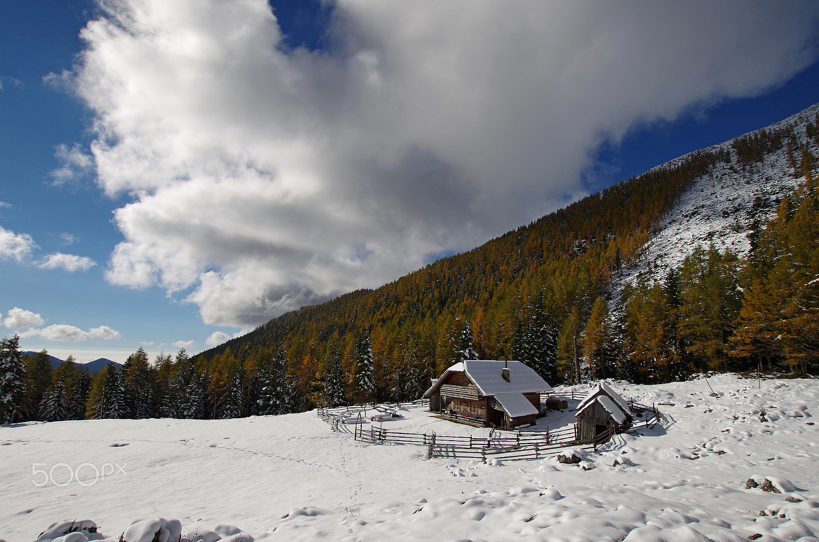 Pentax K-50 + Sigma 10-20mm F3.5 EX DC HSM sample photo. Autumn colors and snow photography