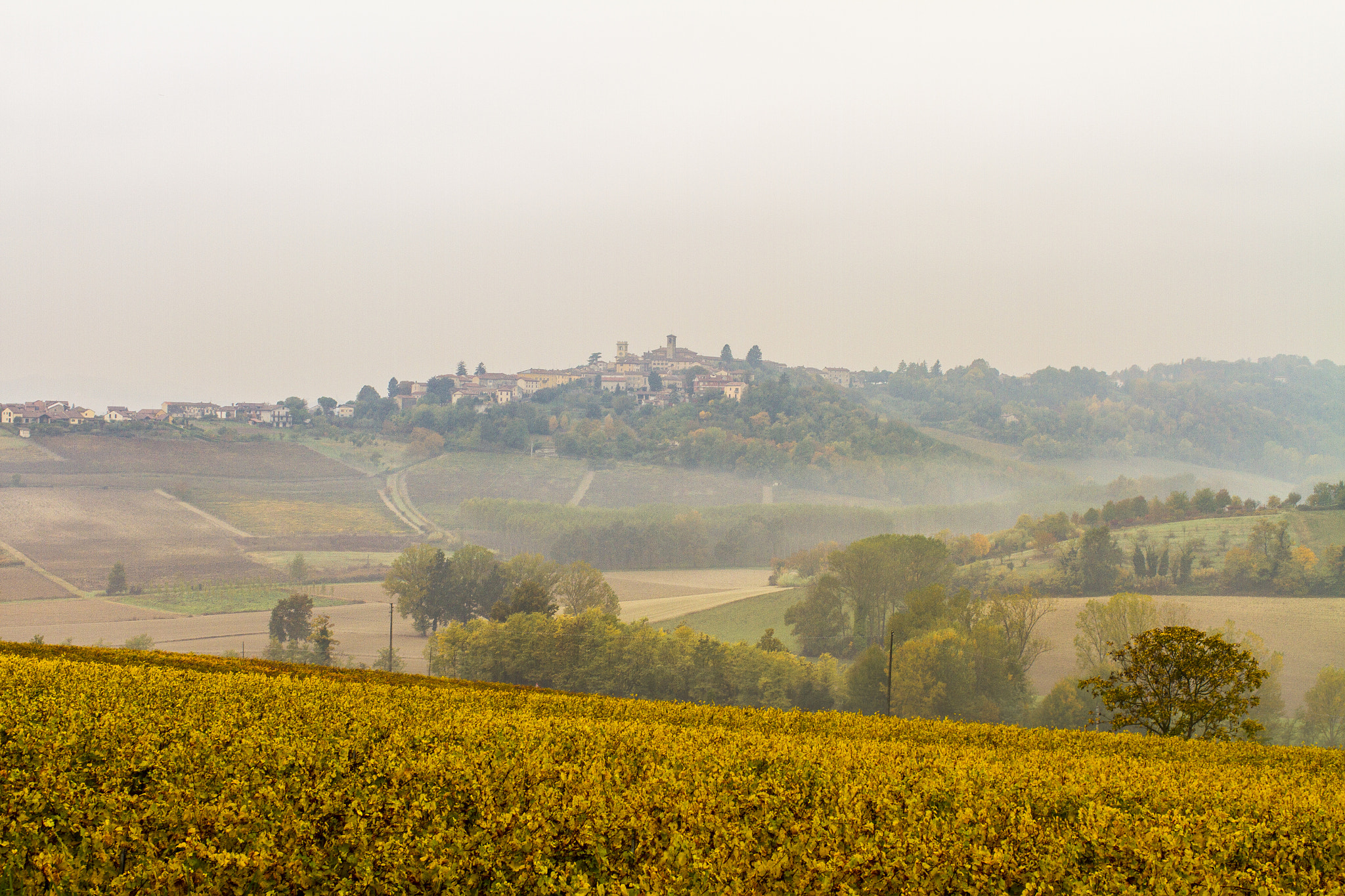 Canon EOS 7D + Canon EF 35mm F1.4L USM sample photo. Le vigne, la nebbia e le colline photography