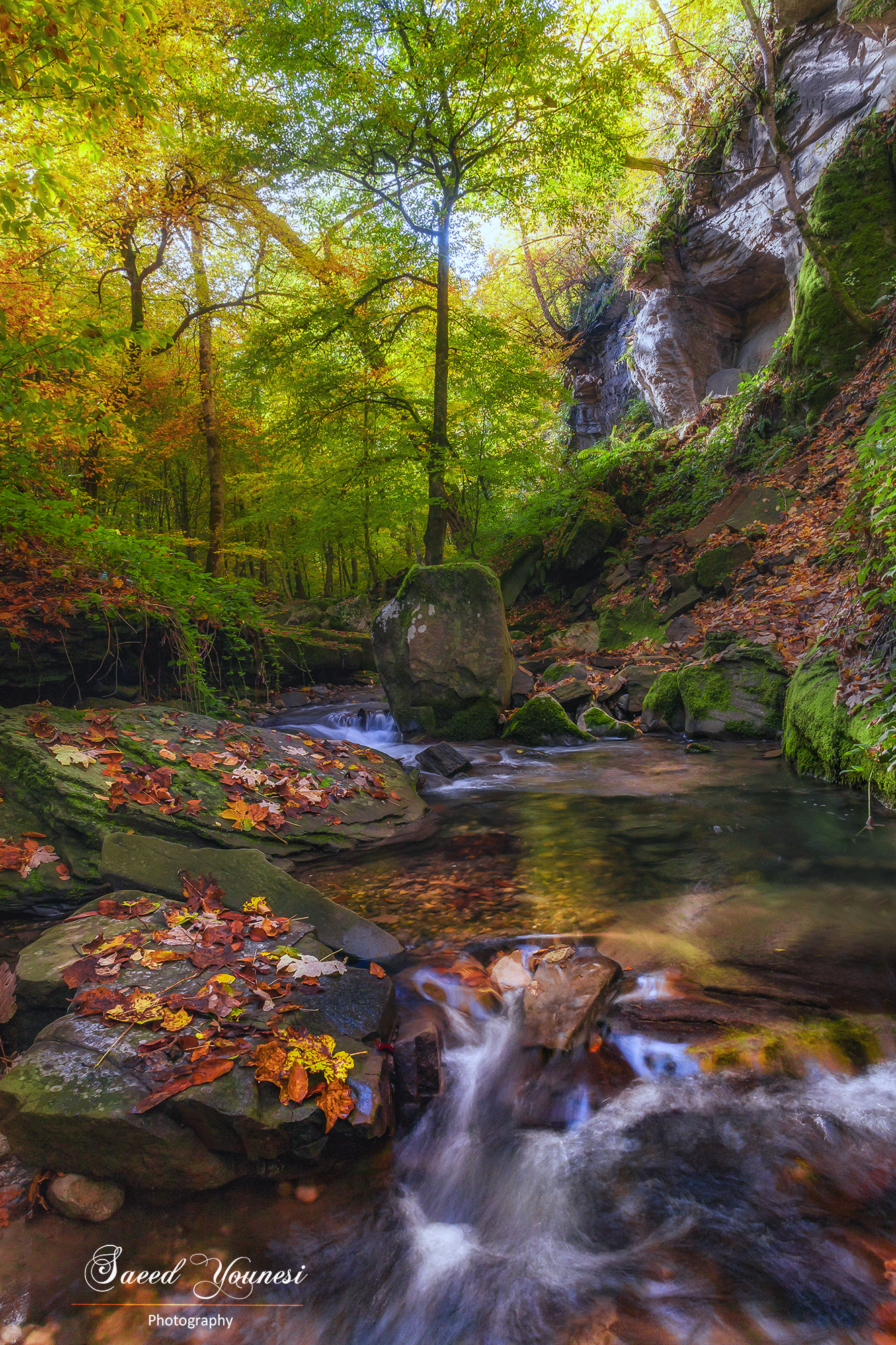 Canon EOS 5D + Canon EF 20-35mm F3.5-4.5 USM sample photo. A good sense of autumn photography