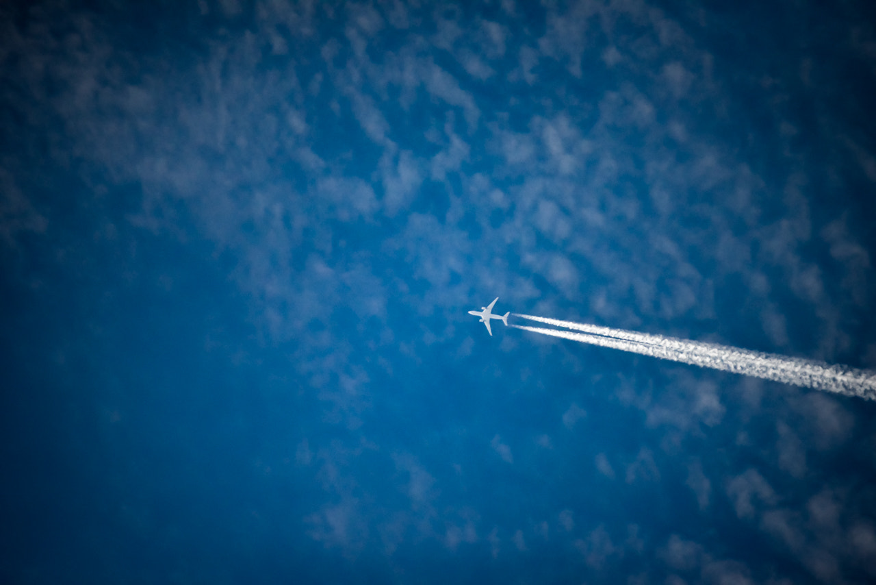 Nikon D800E sample photo. Jetliner photography