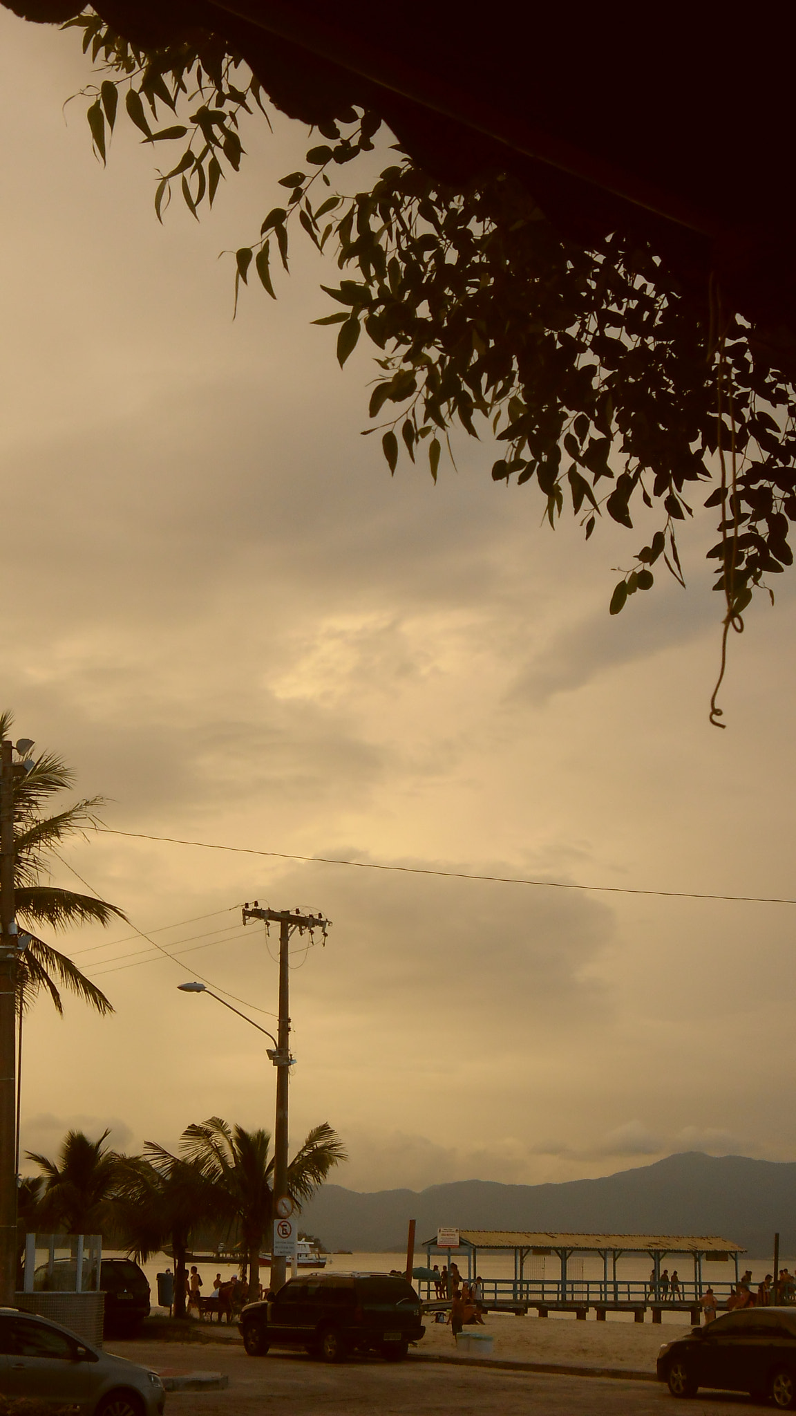 Samsung ES80/ ES81 sample photo. Br photography