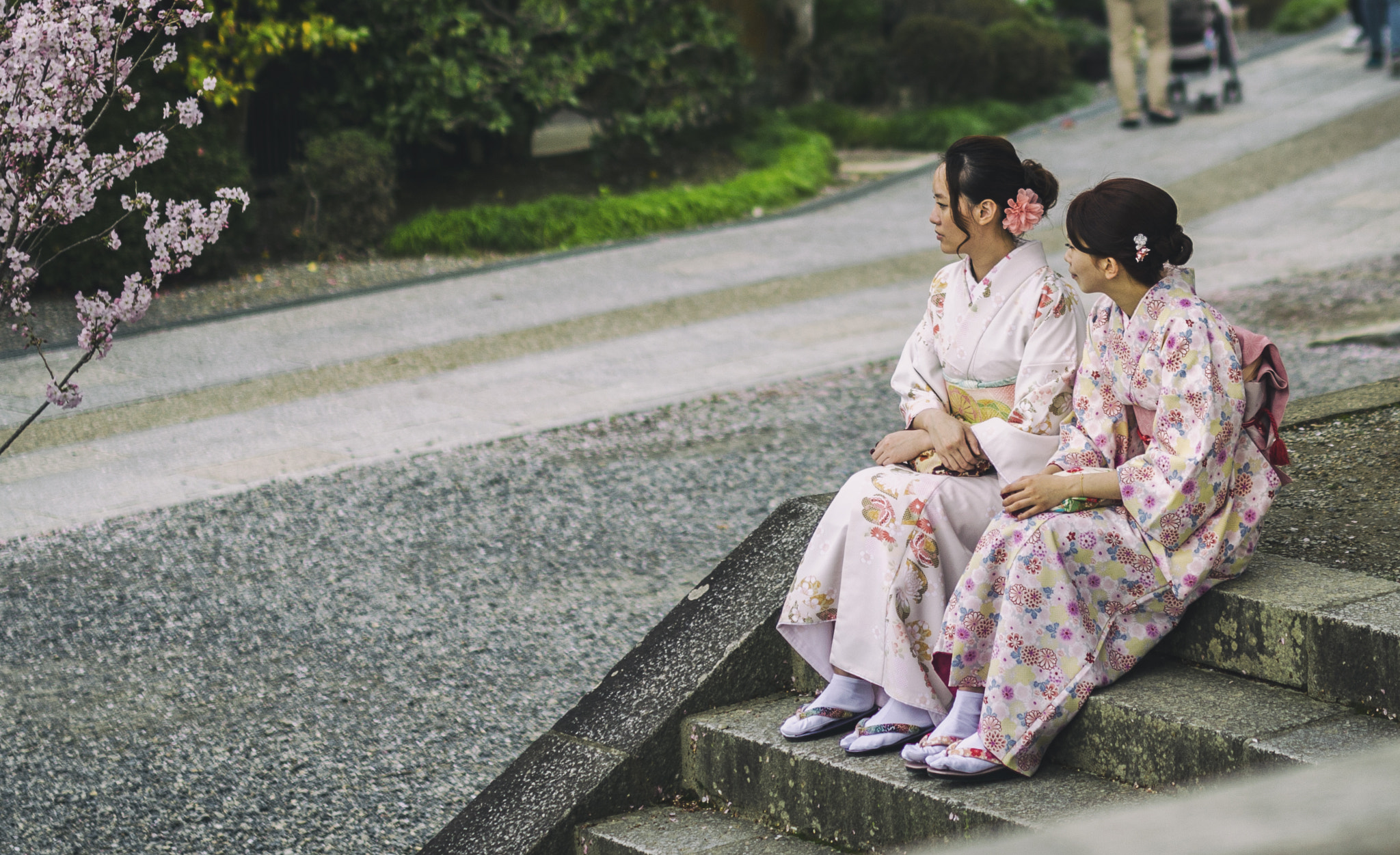 Nikon D7000 + Sigma 50mm F1.4 DG HSM Art sample photo. Japan photography
