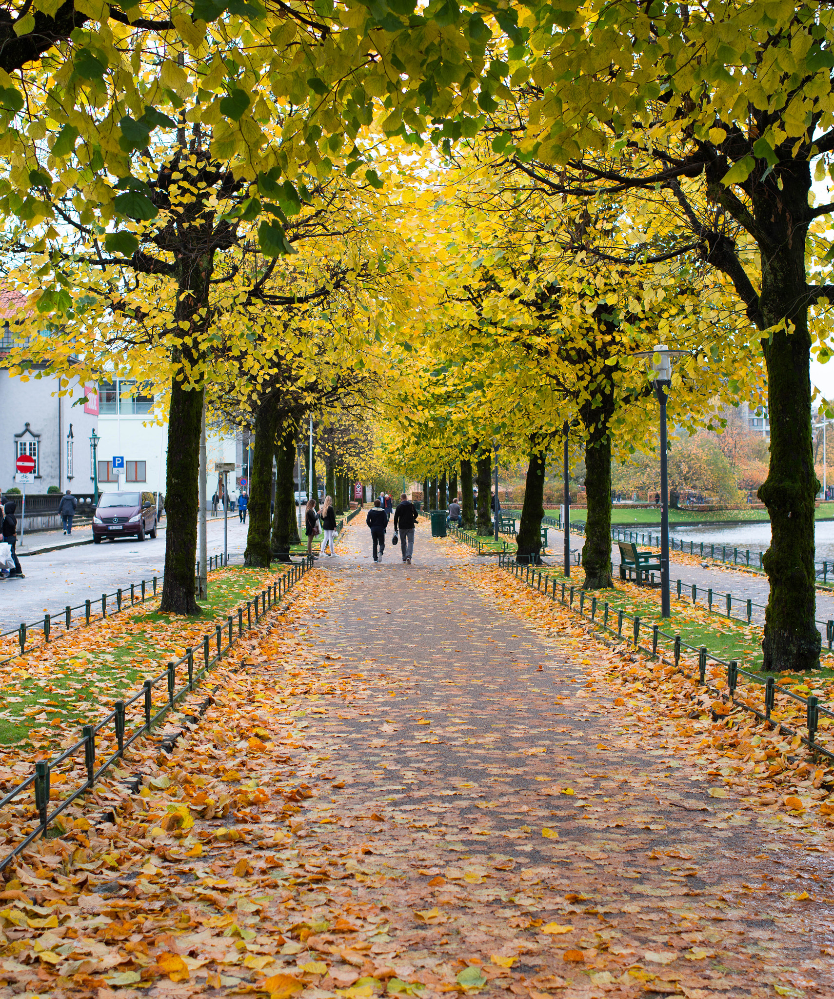 Nikon D800 + Nikon AF-S Nikkor 35mm F1.4G sample photo. Bergen november photography