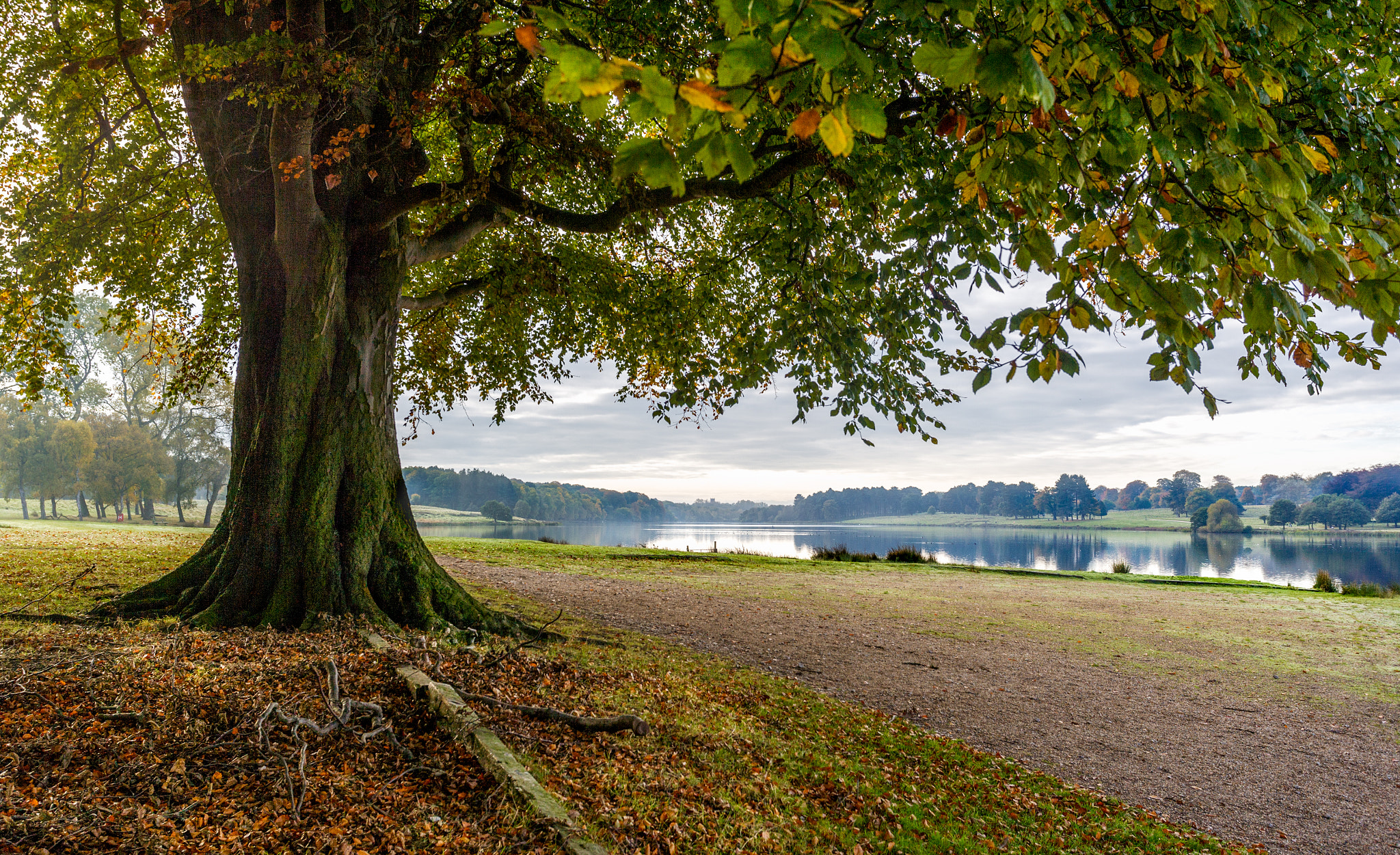 Canon EOS-1Ds Mark II sample photo