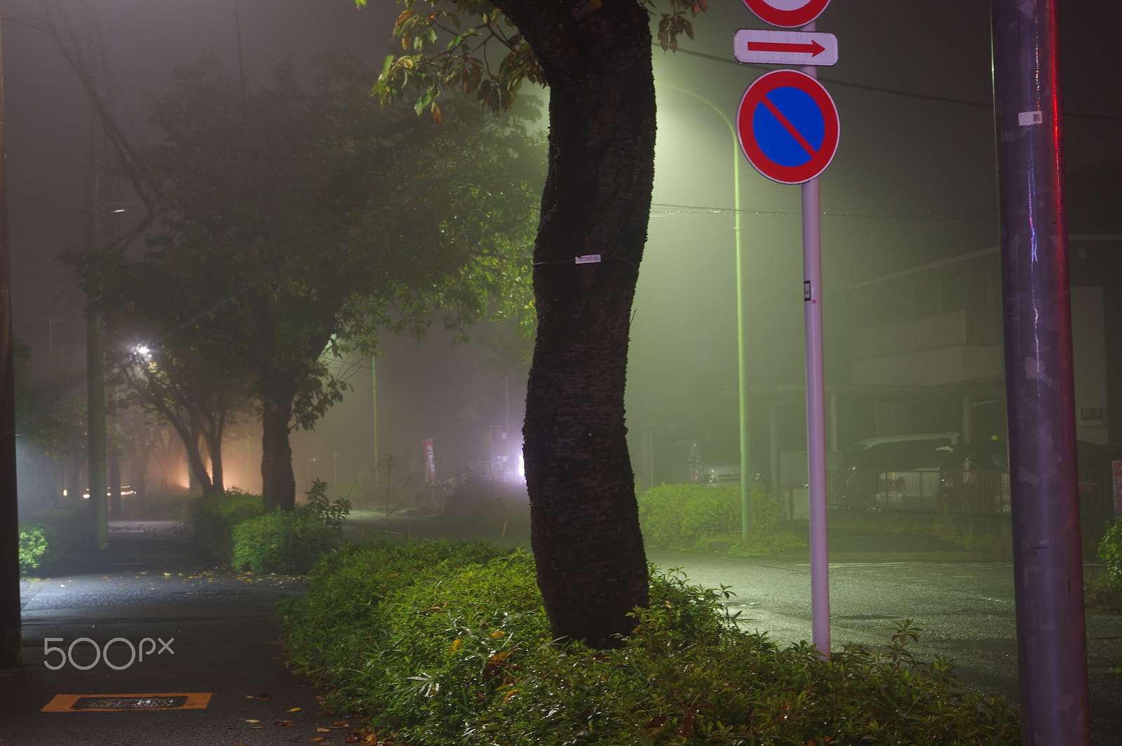 smc PENTAX-DA L 18-55mm F3.5-5.6 sample photo. Foggy night photography