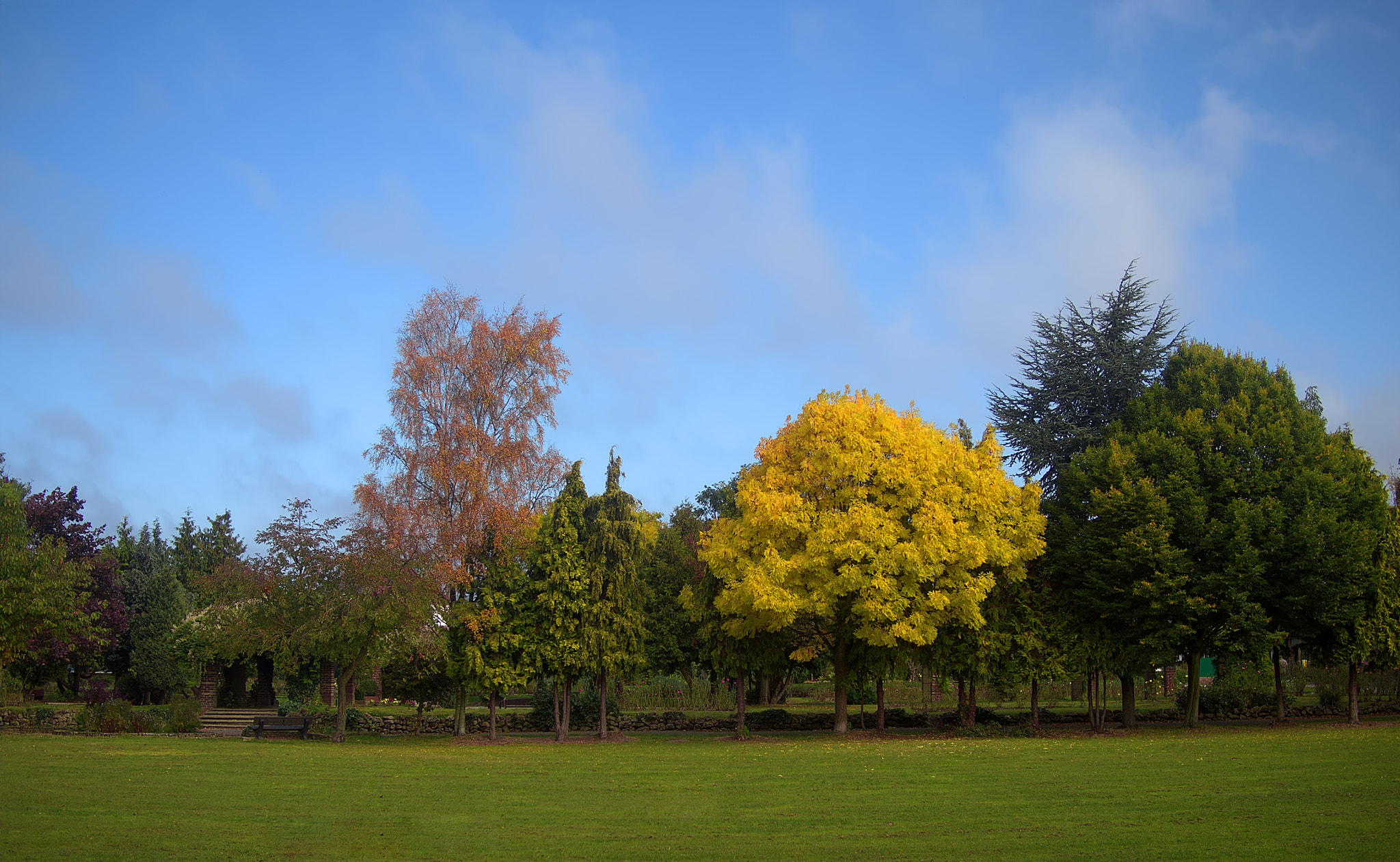 Olympus OM-D E-M10 II sample photo. Autumn photography