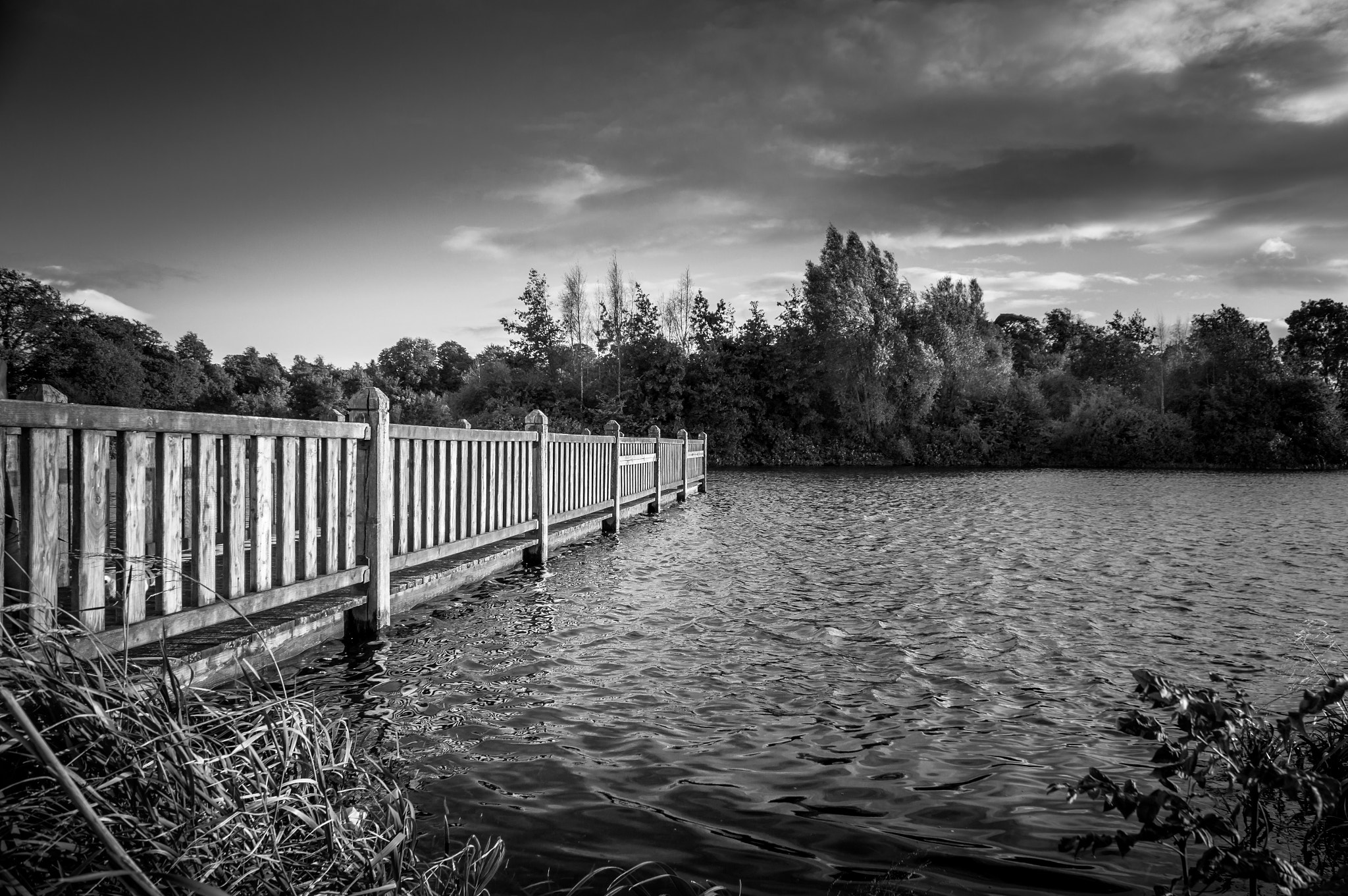 Sony SLT-A55 (SLT-A55V) sample photo. Corkagh park fisheries photography
