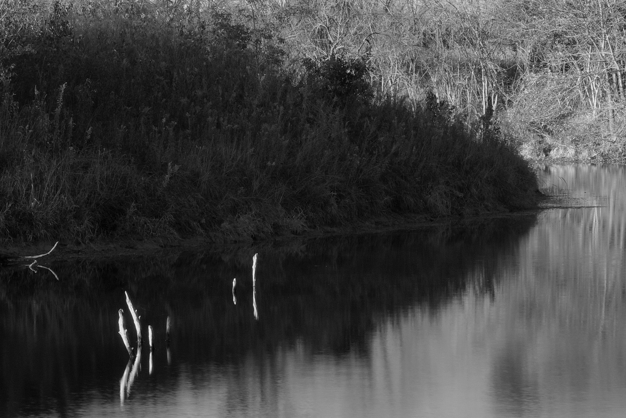 Pentax K-S2 sample photo. Lake point photography