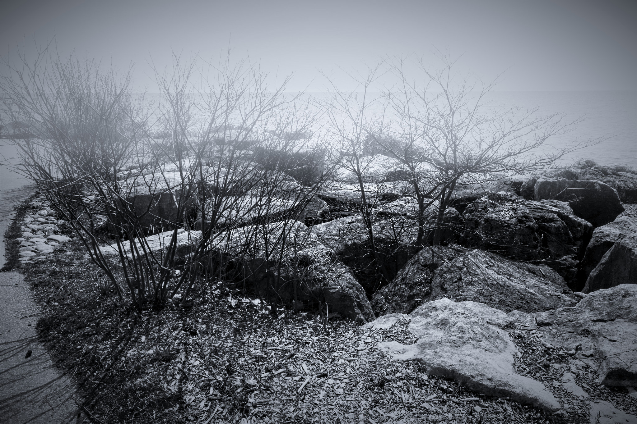 Fujifilm XC 16-50mm F3.5-5.6 OIS sample photo. Jack darling-park photography