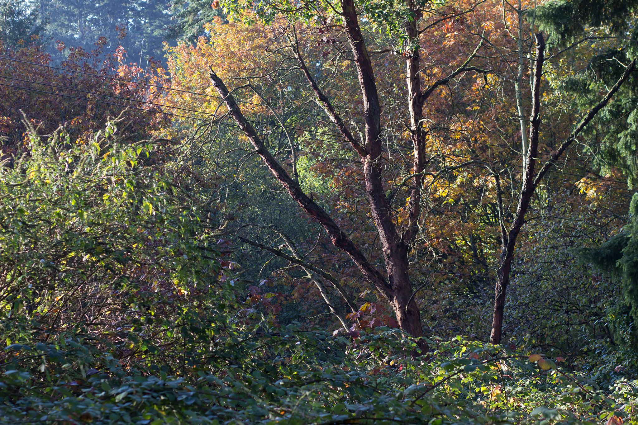Canon EF 85mm F1.8 USM sample photo. Colors!  photography
