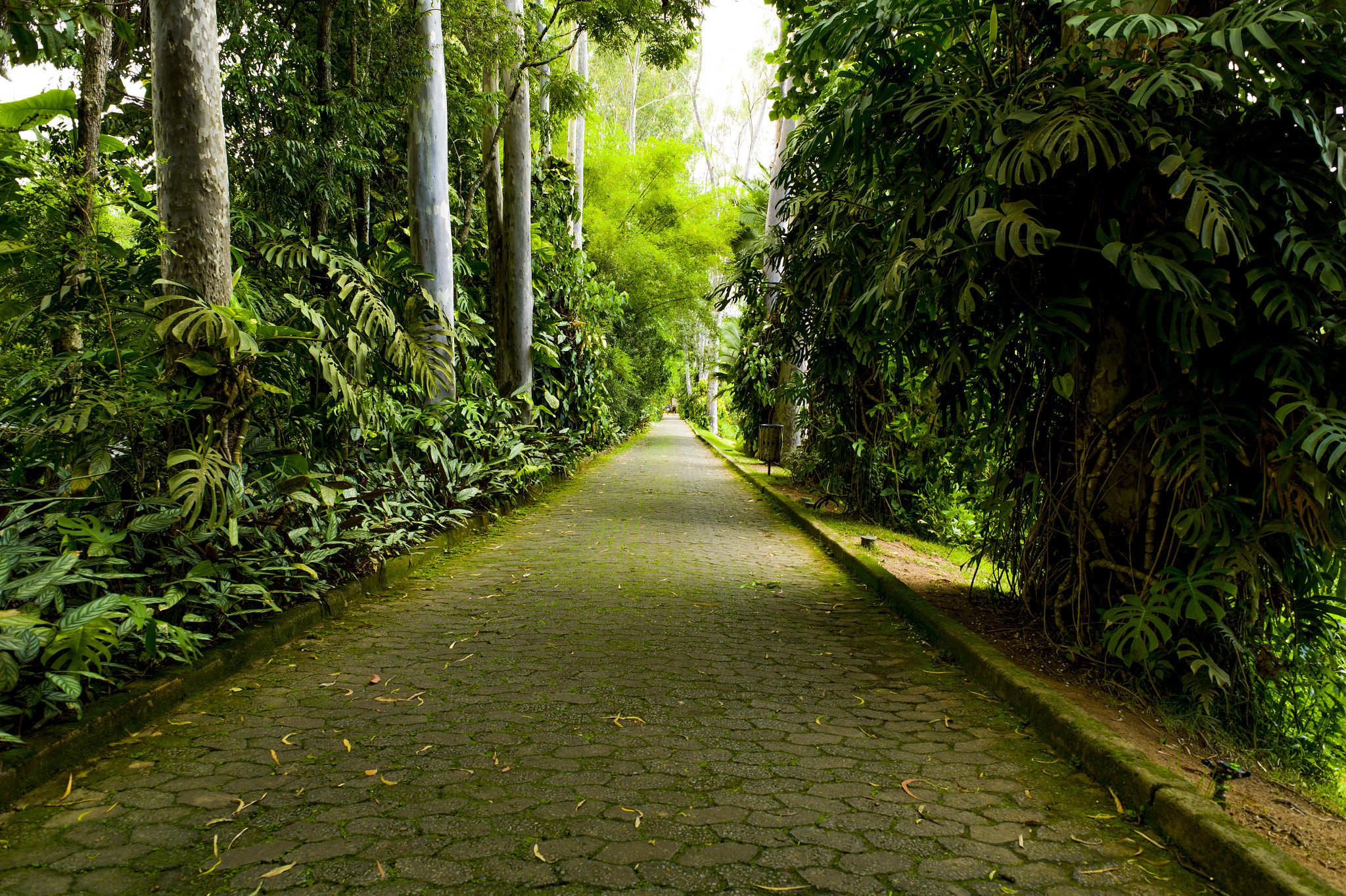 Leica M9 + Leica Elmarit-M 24mm F2.8 ASPH sample photo. Inhotim brazil photography