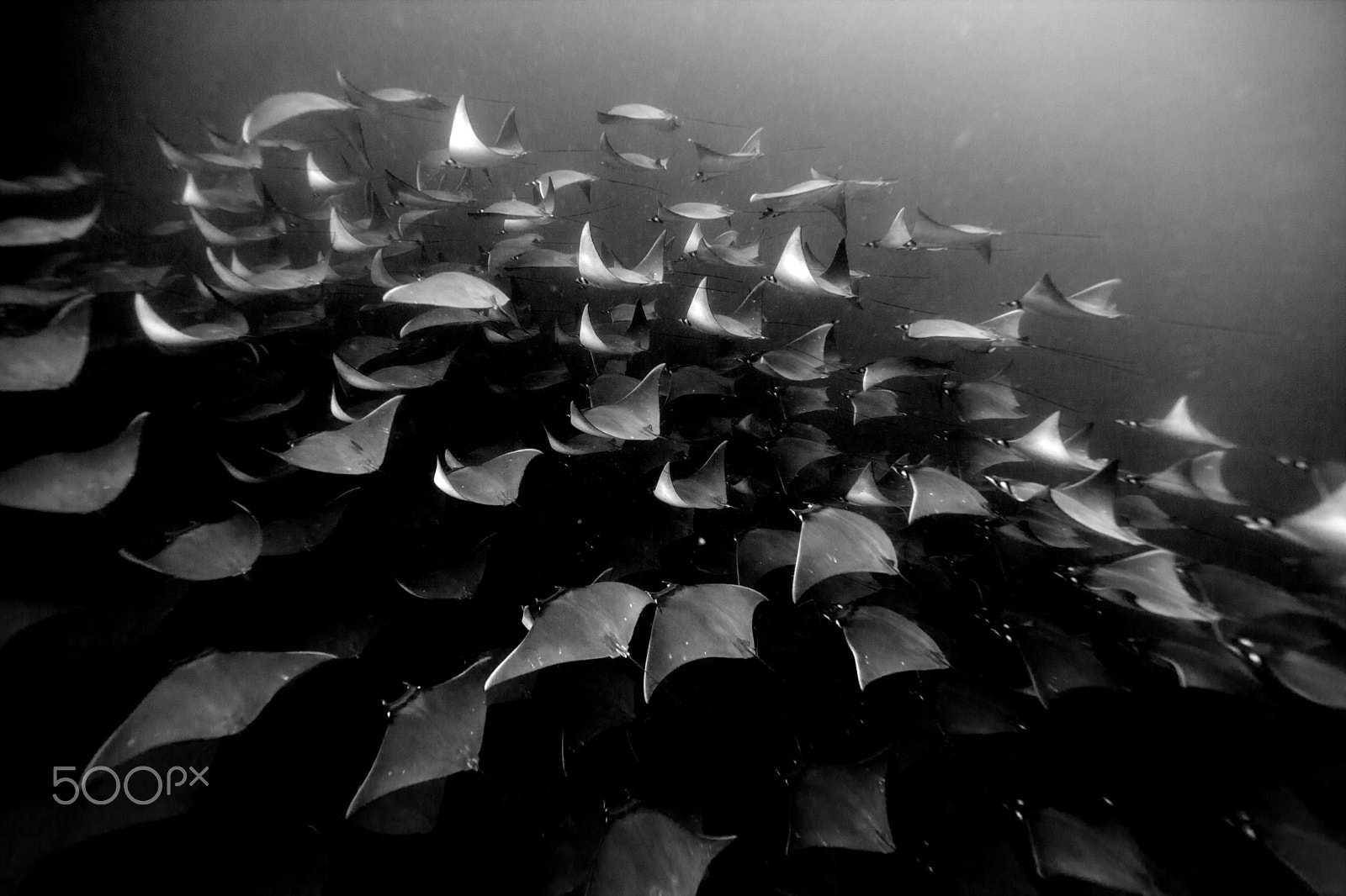 Canon EF 14mm F2.8L II USM sample photo. Oceanic gathering photography