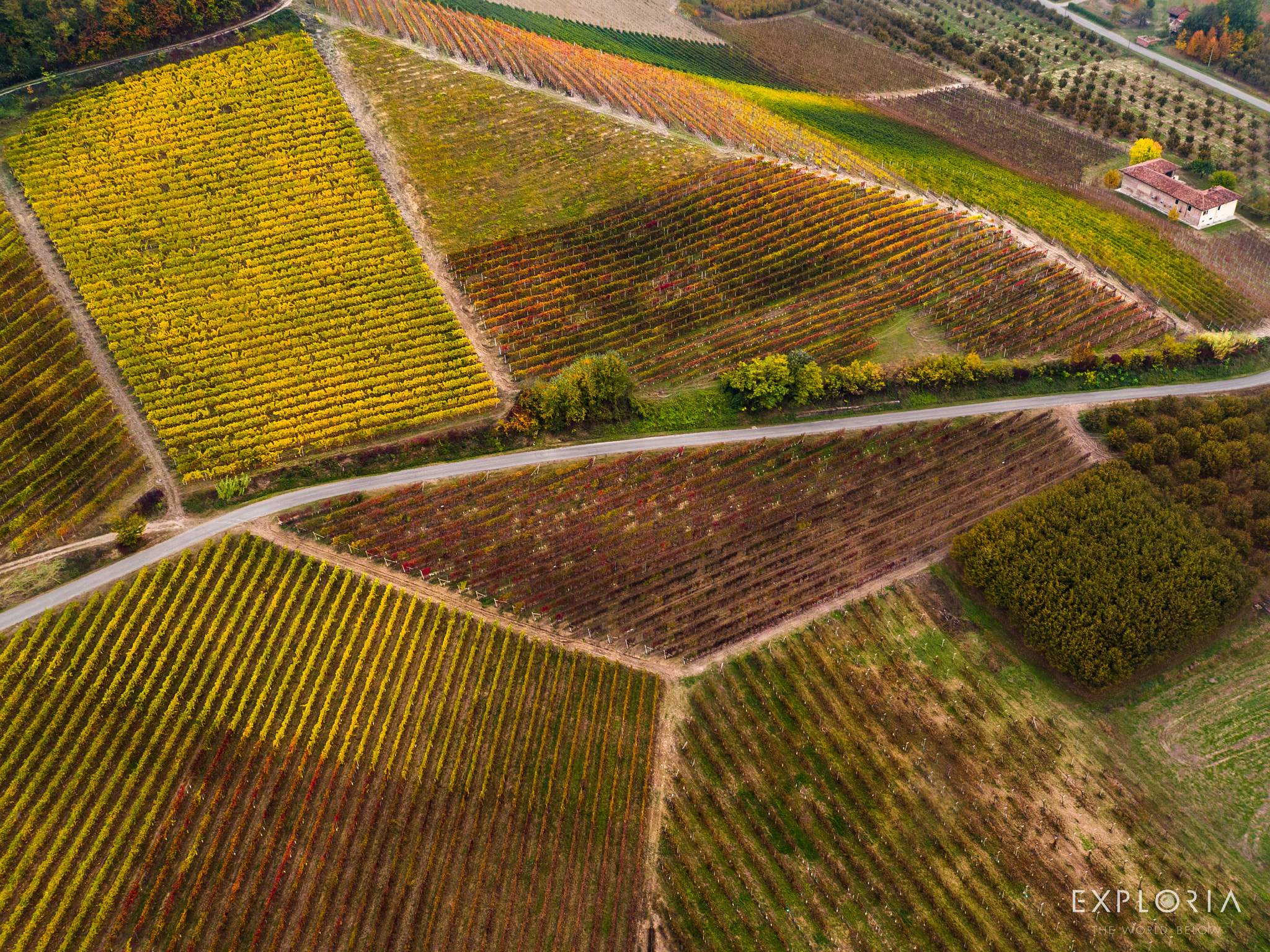 DJI FC550 sample photo. Colori di neive photography