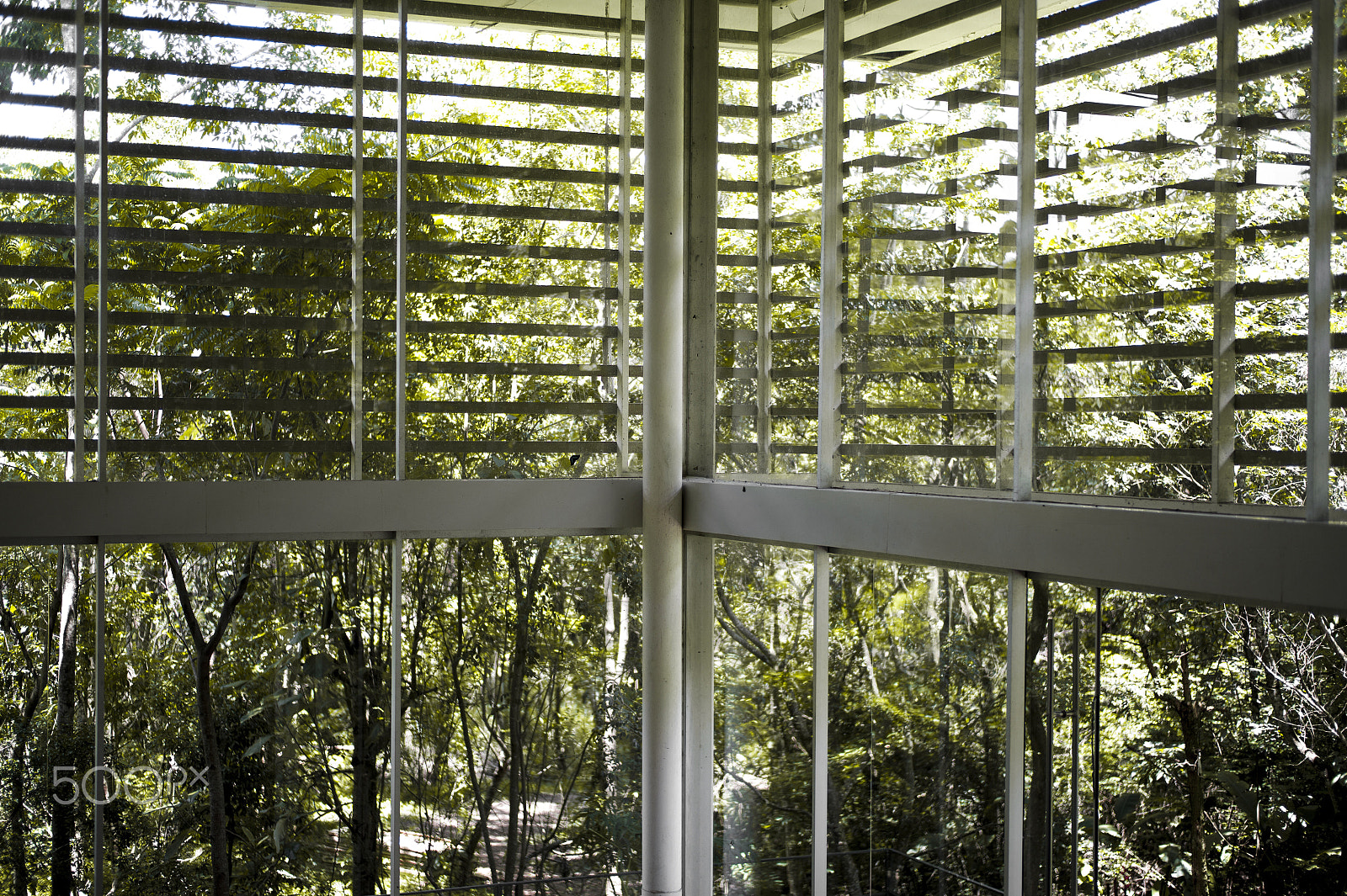 Leica M9 + Leica Summilux-M 50mm F1.4 ASPH sample photo. Inhotim brazil photography