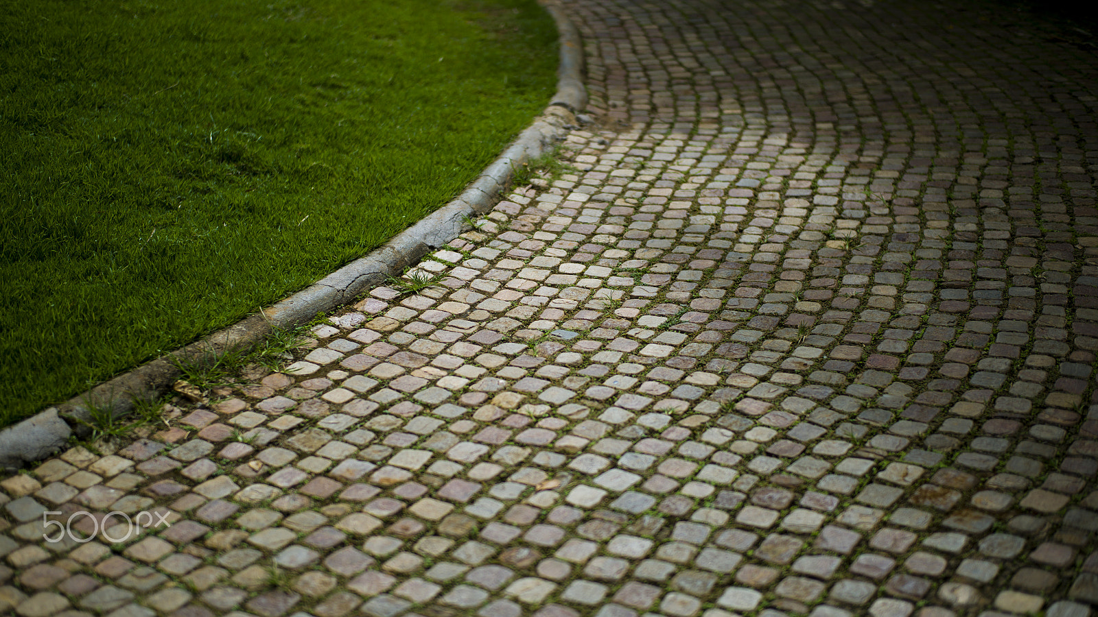 Leica M9 + Leica Summilux-M 50mm F1.4 ASPH sample photo. Inhotim brazil photography