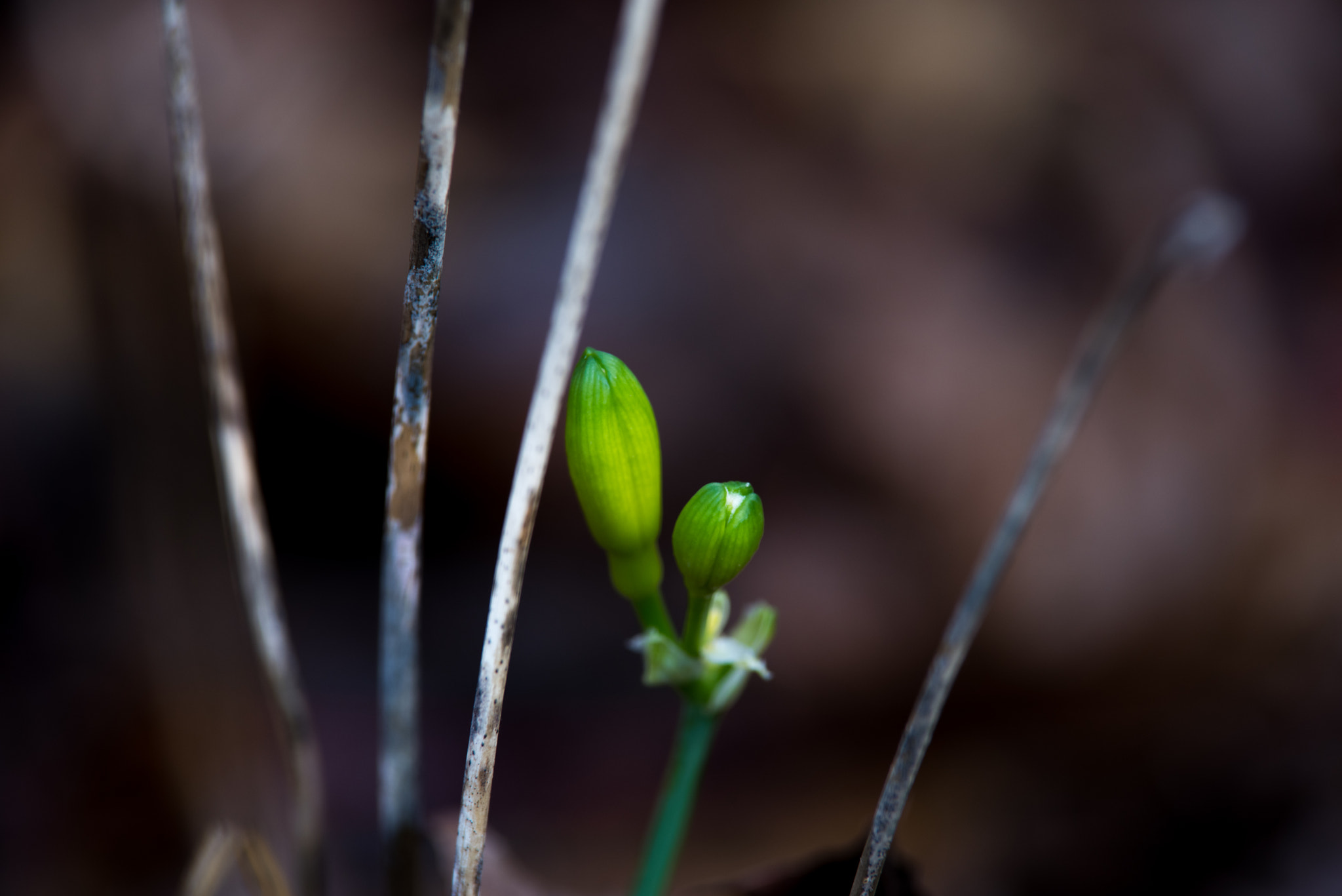 Pentax K-1 sample photo. Imgp photography