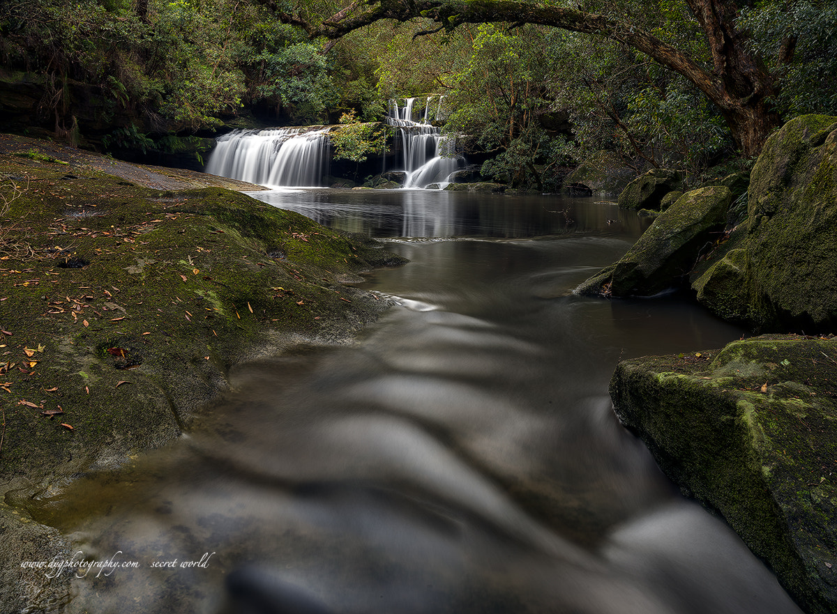 Sigma 24-70mm F2.8 EX DG HSM sample photo. Secret world photography