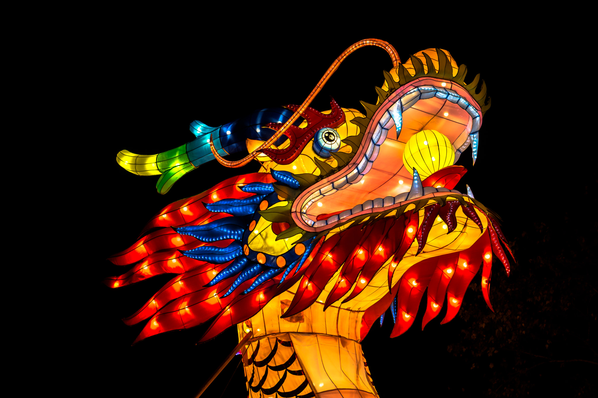 Sony Alpha NEX-7 + E 50mm F1.8 OSS sample photo. Dragon photography