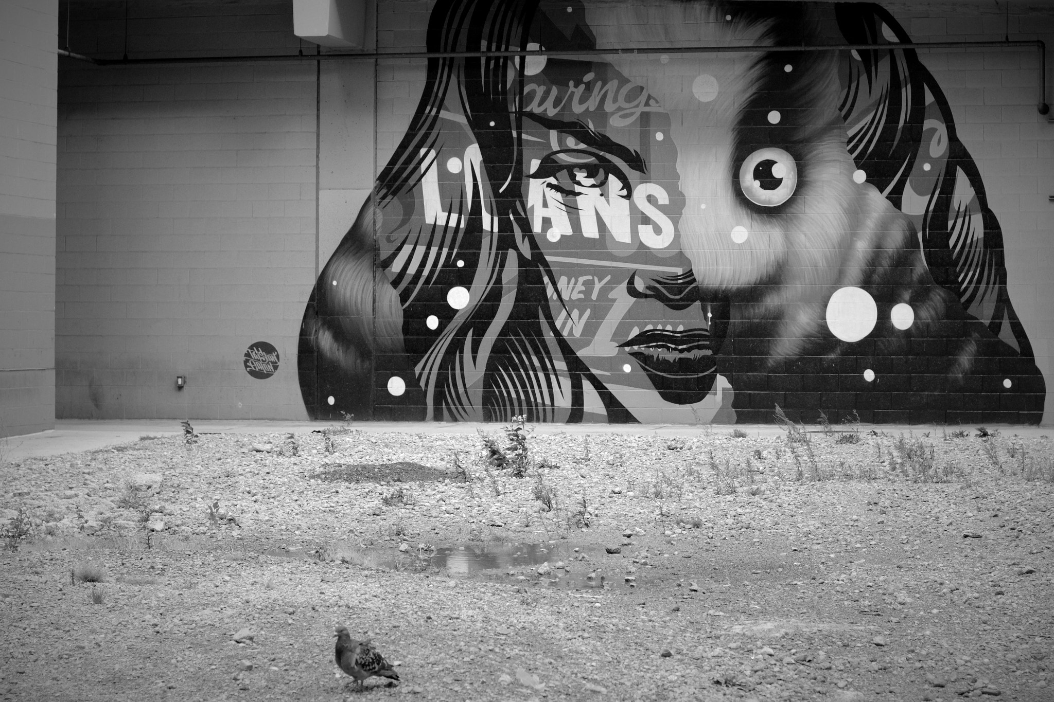 Canon EOS 550D (EOS Rebel T2i / EOS Kiss X4) sample photo. The eye photography