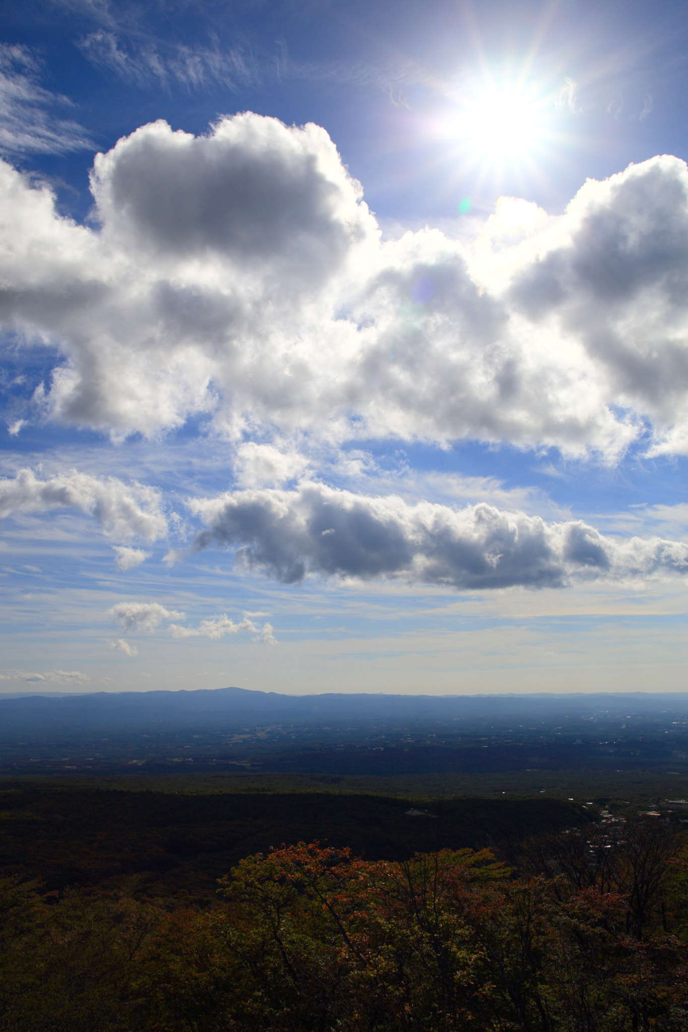 Sigma 28mm f/1.8 DG Macro EX sample photo. From lover holy land photography