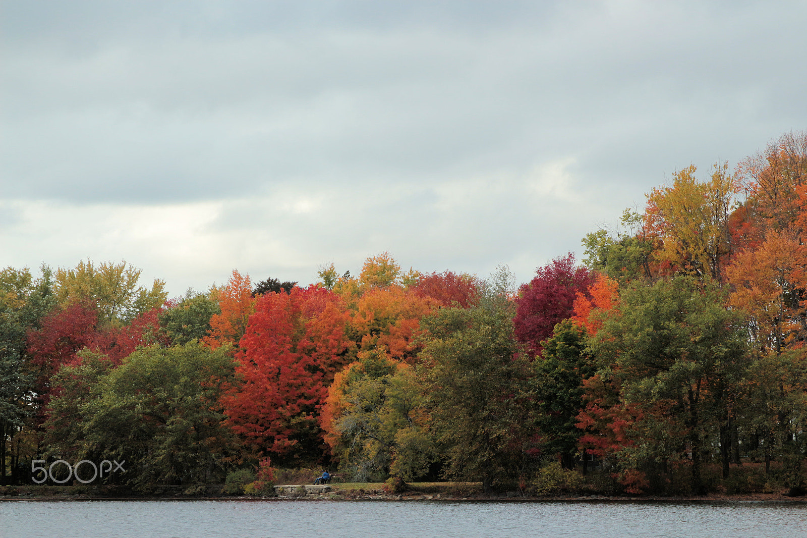 Canon EF 28-105mm f/3.5-4.5 USM sample photo. Autumn photography