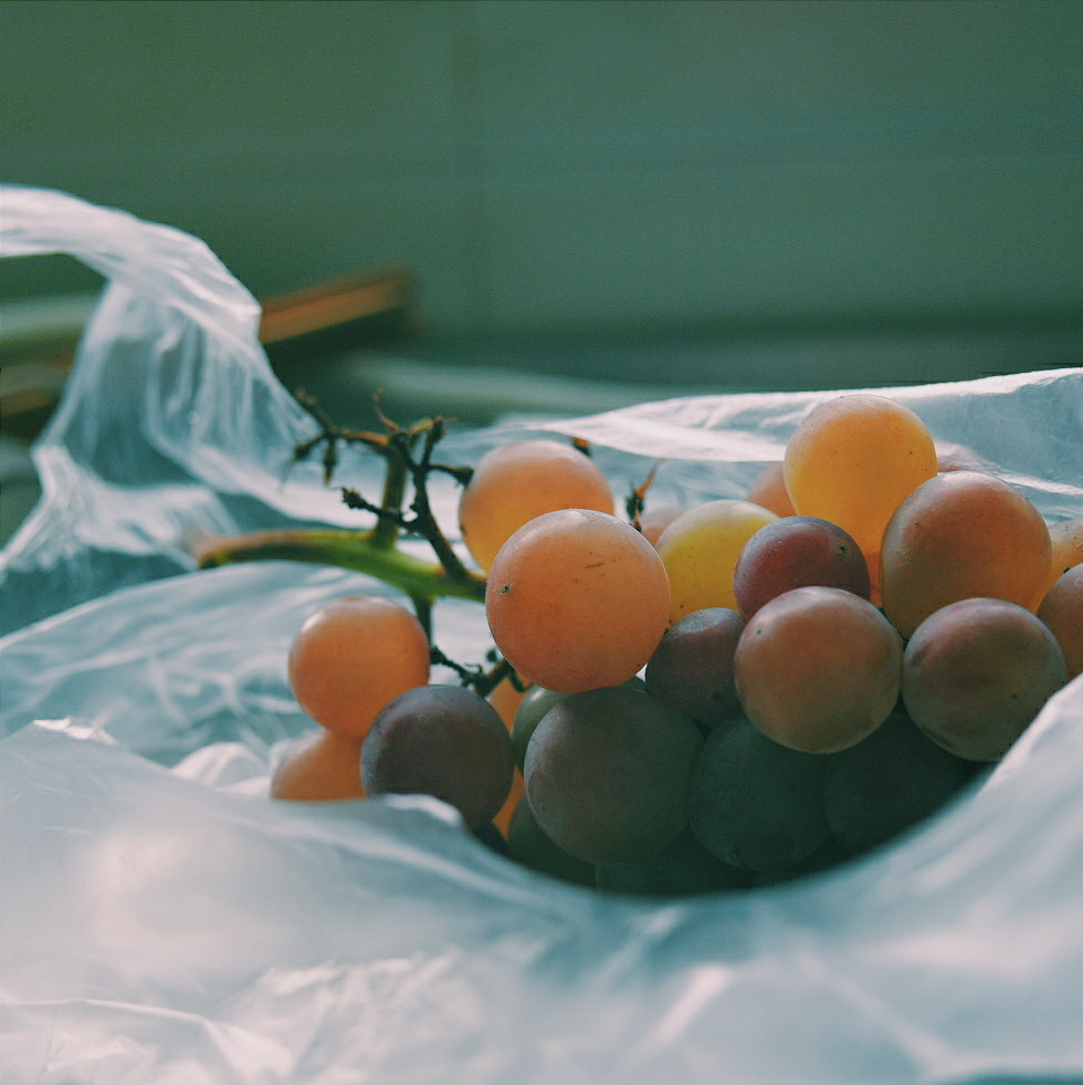 Manual Lens No CPU sample photo. 凉魄尽残钩 photography
