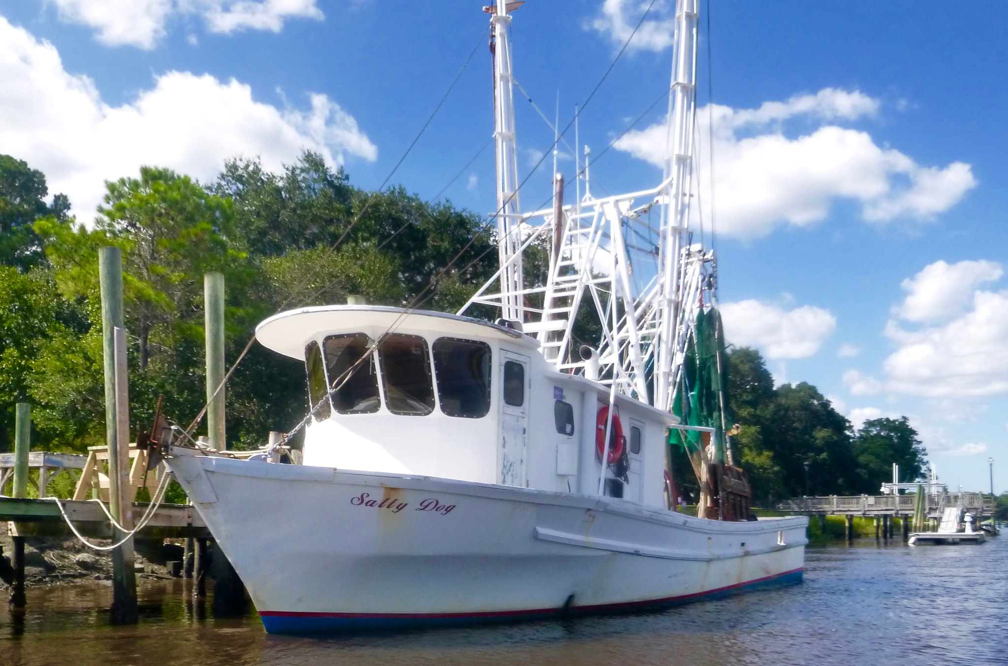 Panasonic DMC-TS25 sample photo. Salty dog - shallotte to inlet view paddle - summer 2016 photography