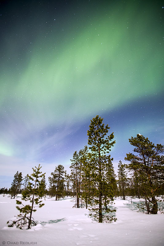 Nikon D600 sample photo. The northern lights photography