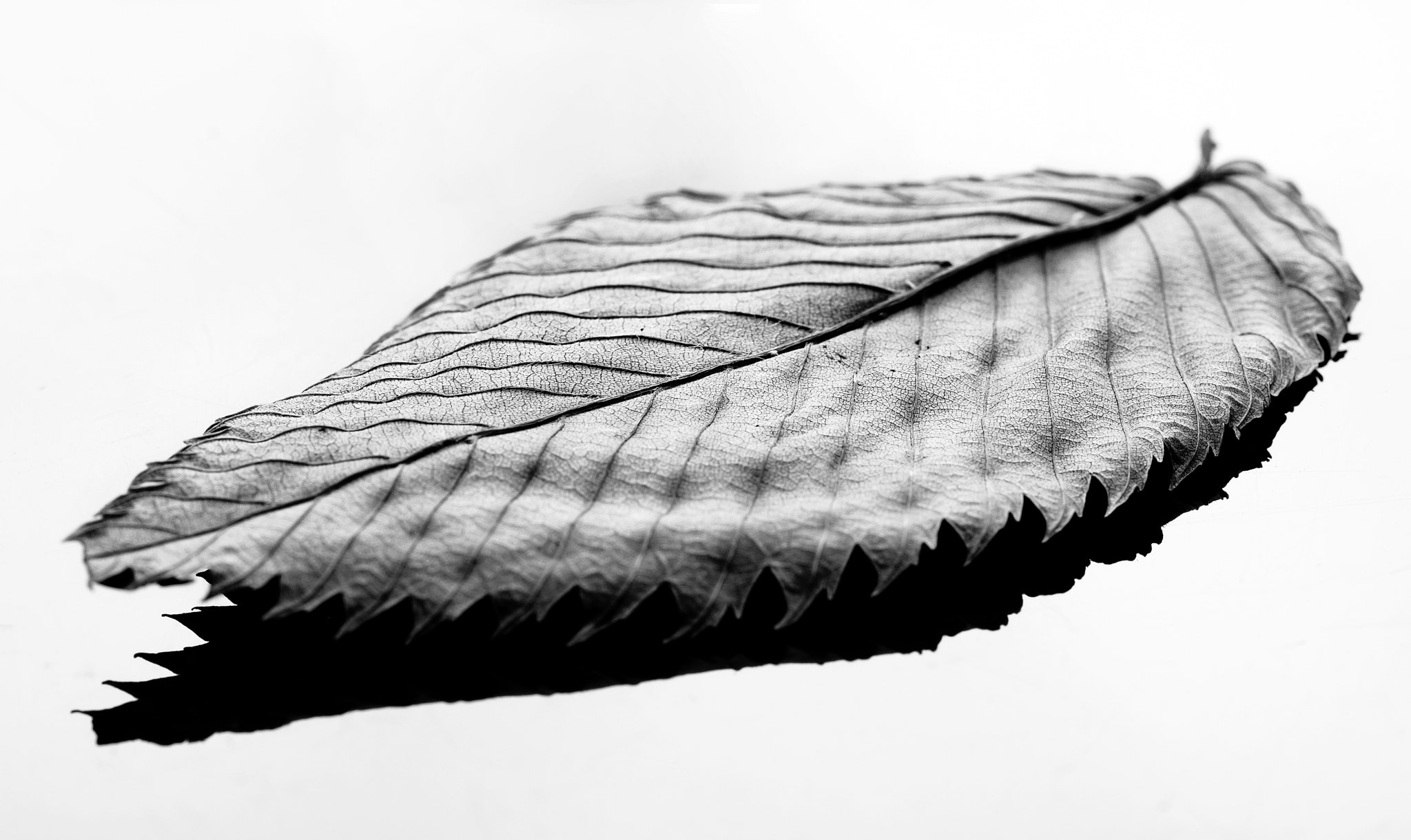 Sigma 105mm F2.8 EX DG OS HSM sample photo. Waves photography