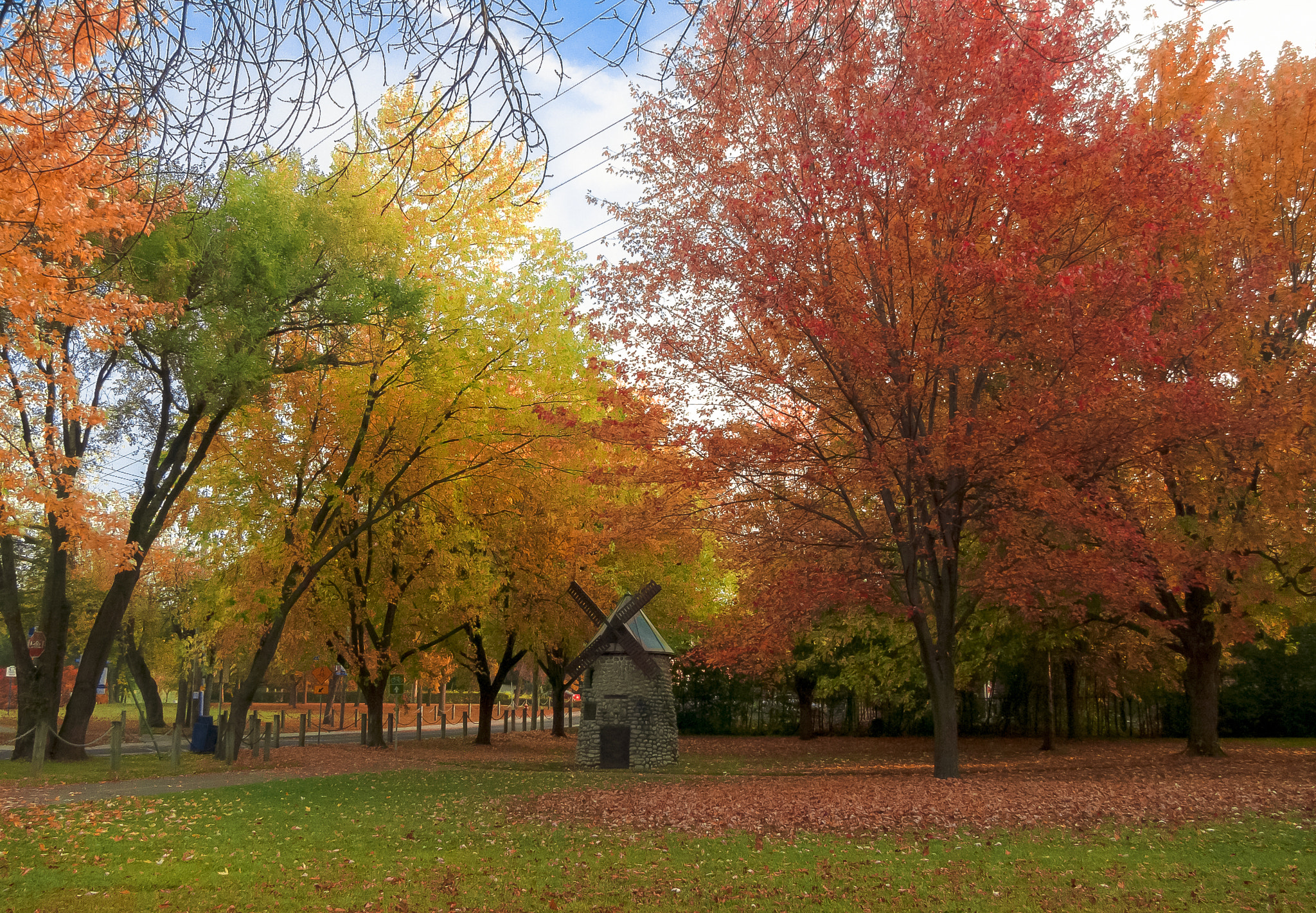 Canon PowerShot SX1 IS sample photo. Colorful autumn photography