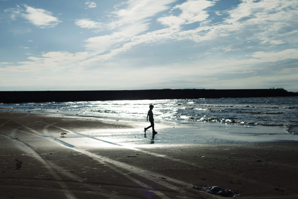 ZEISS Makro-Planar T* 50mm F2 sample photo. Silhouette. photography