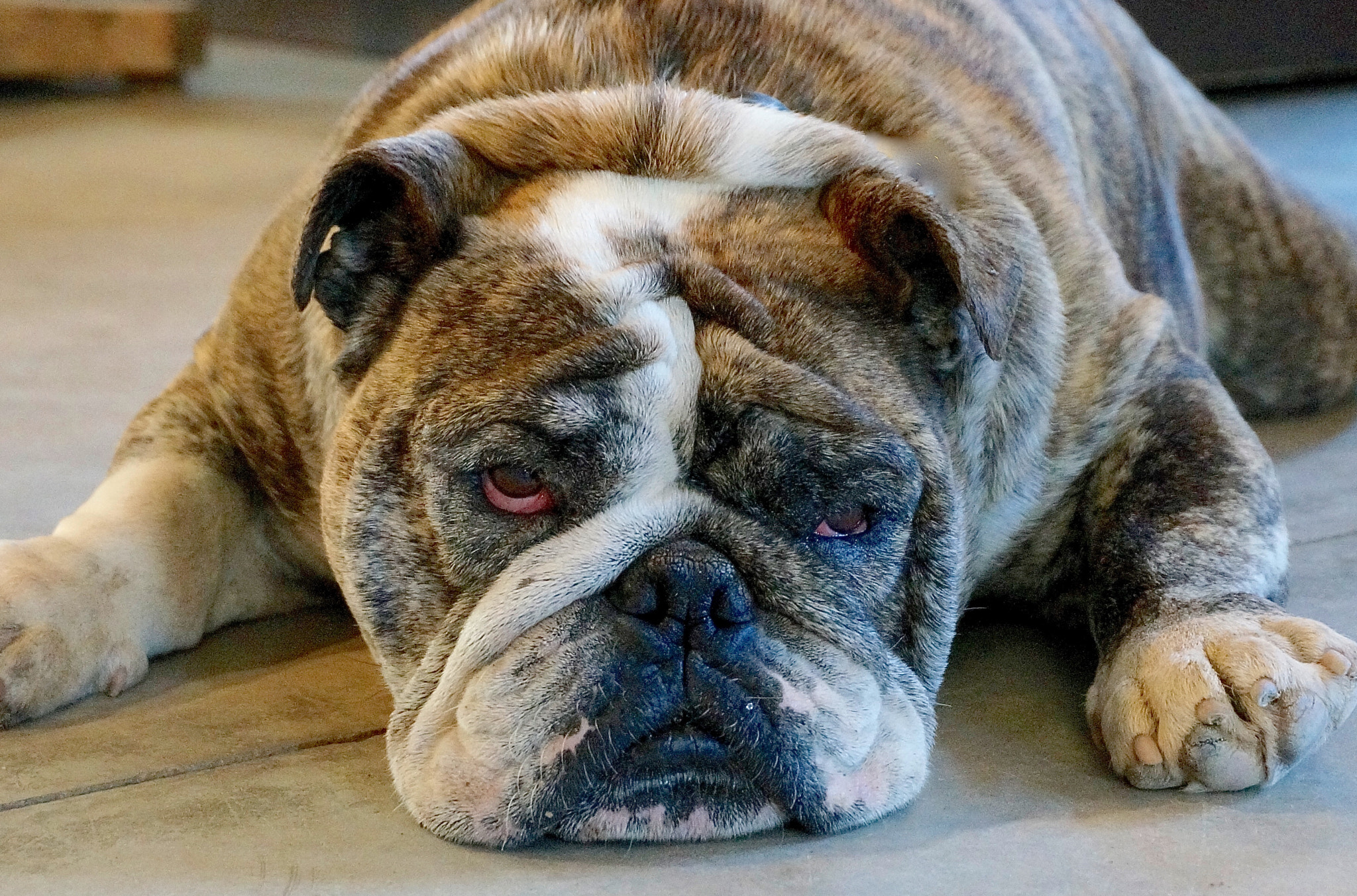 Sony Alpha NEX-6 + Sony E 18-50mm F4-5.6 sample photo. Bully boy photography