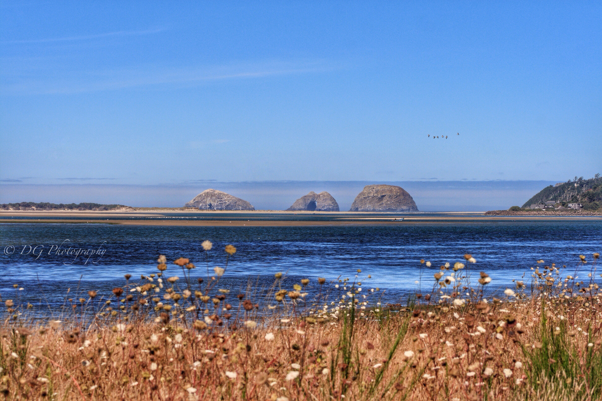 Canon EF 75-300mm f/4-5.6 USM sample photo. Oregon coast 2016 photography
