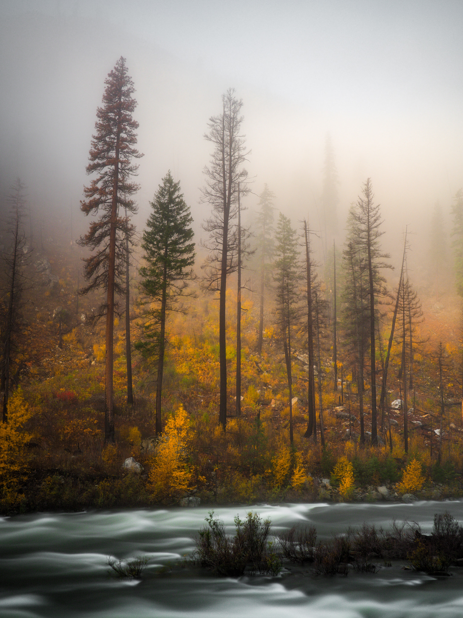 Olympus OM-D E-M5 II + Panasonic Lumix G 20mm F1.7 ASPH sample photo. Wenatchee river photography