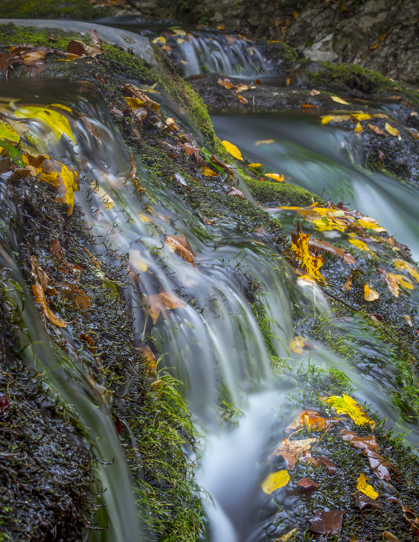Nikon D7100 + Sigma 18-50mm F3.5-5.6 DC sample photo. Laurel creek cascades  photography