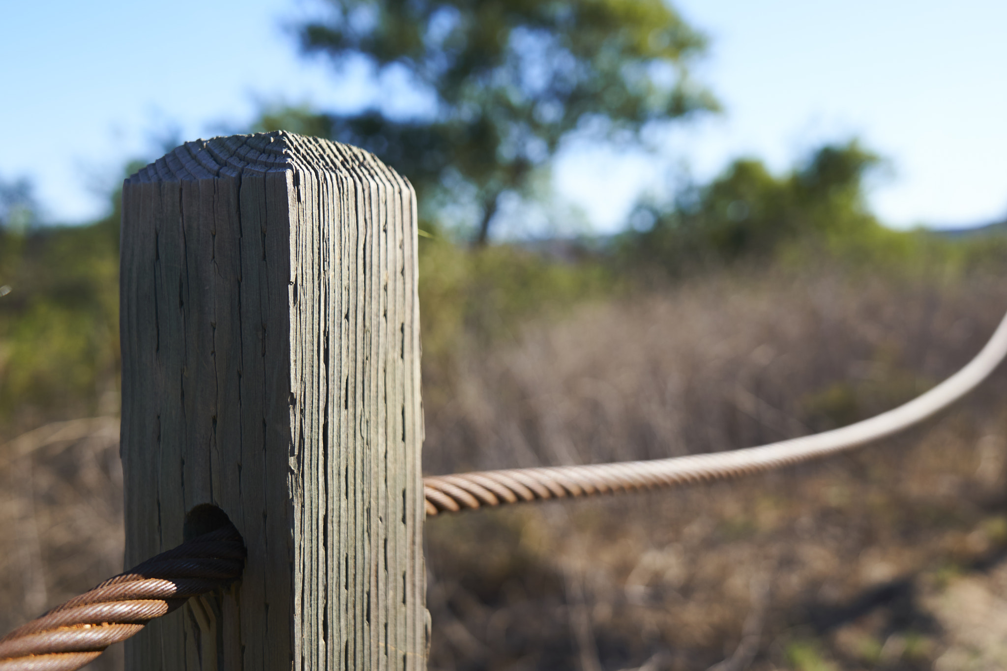 Sony a6300 + Sony FE 24-70mm F2.8 GM sample photo. Old post photography