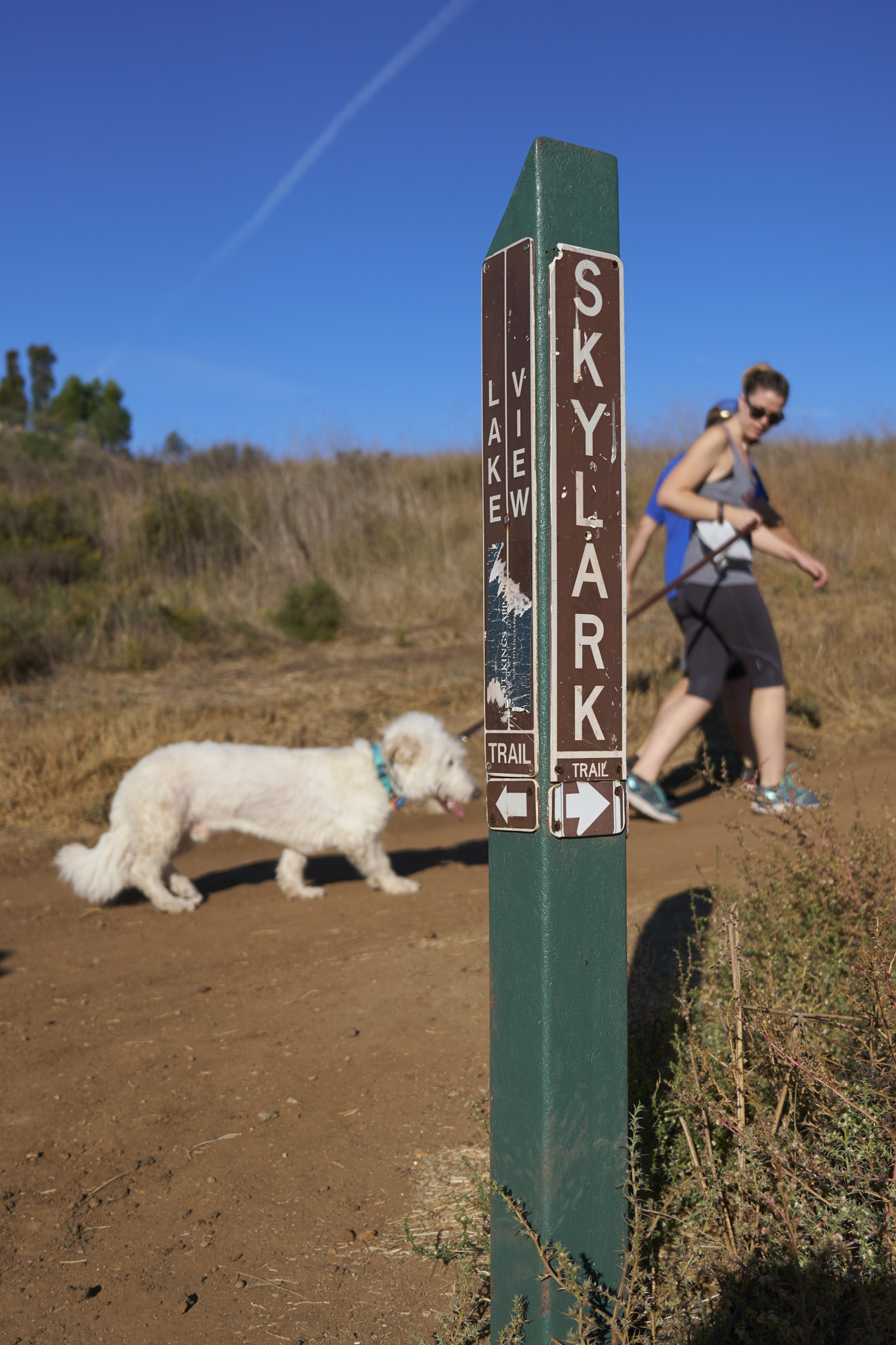 Sony a6300 + Sony FE 24-70mm F2.8 GM sample photo. Trail marker photography