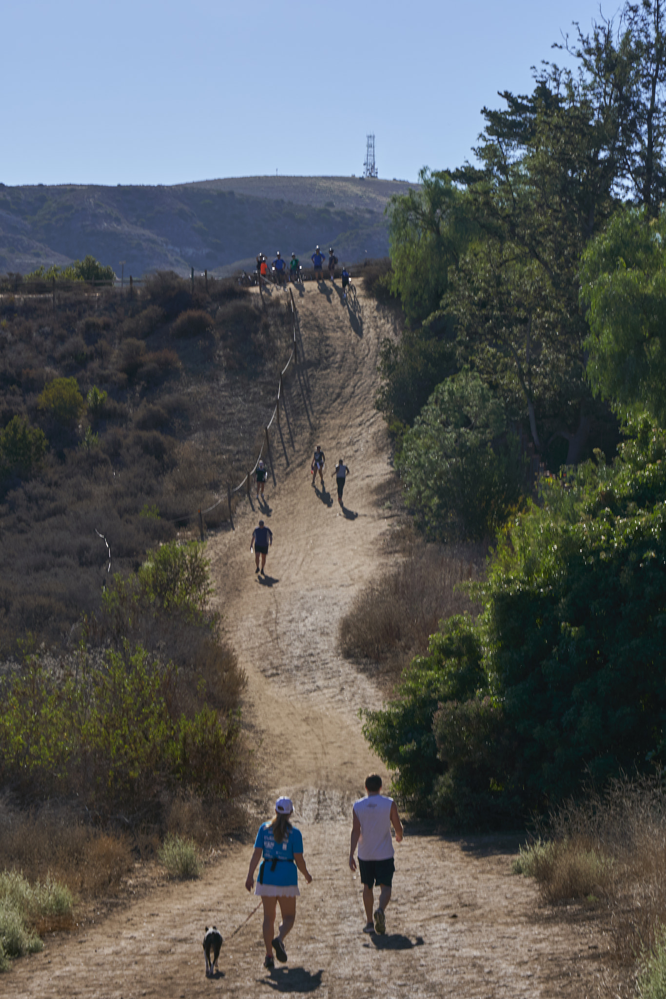 Sony a6300 + Sony FE 24-70mm F2.8 GM sample photo. Incline photography