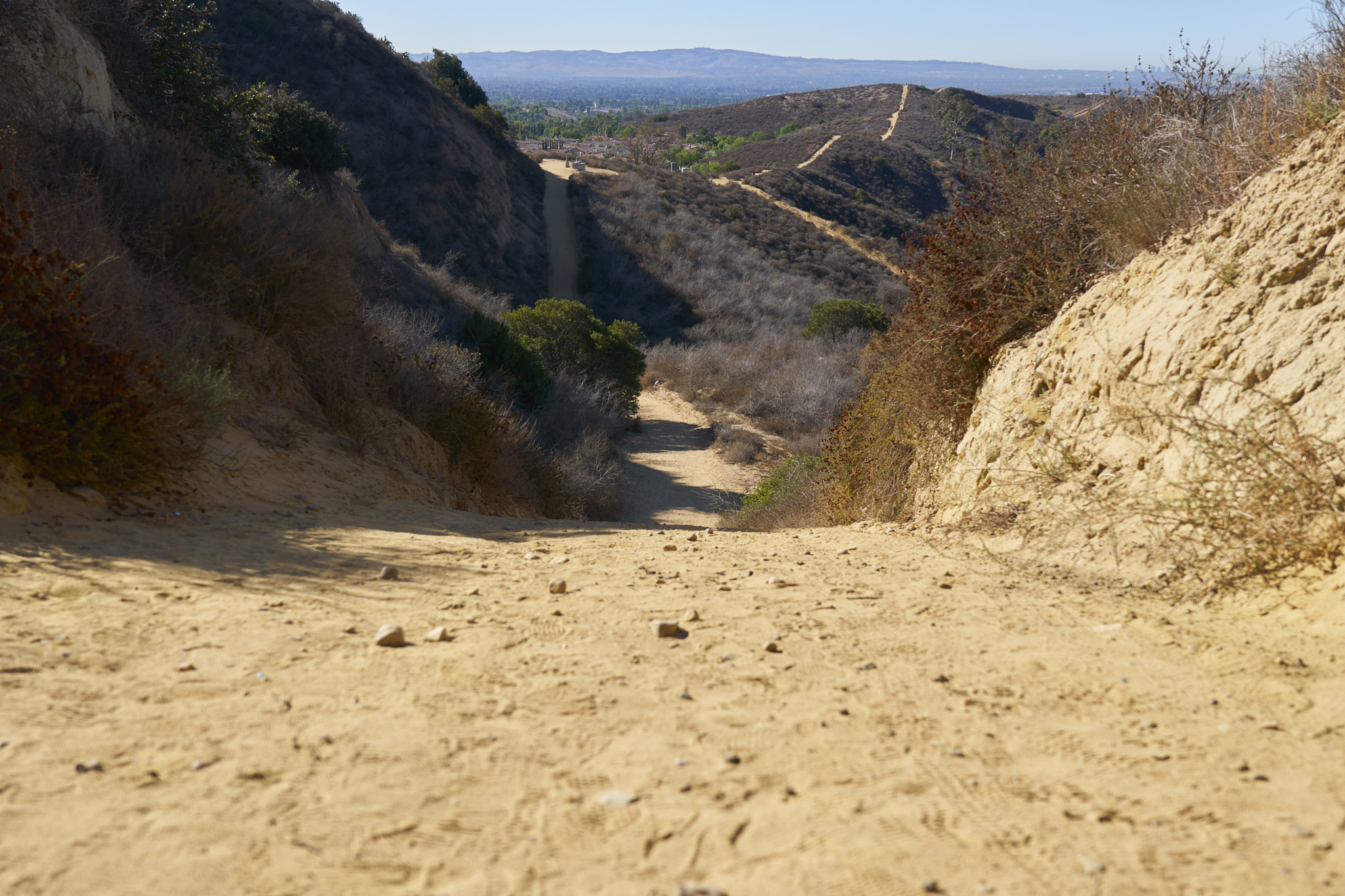 Sony a6300 + Sony FE 24-70mm F2.8 GM sample photo. Desert path photography