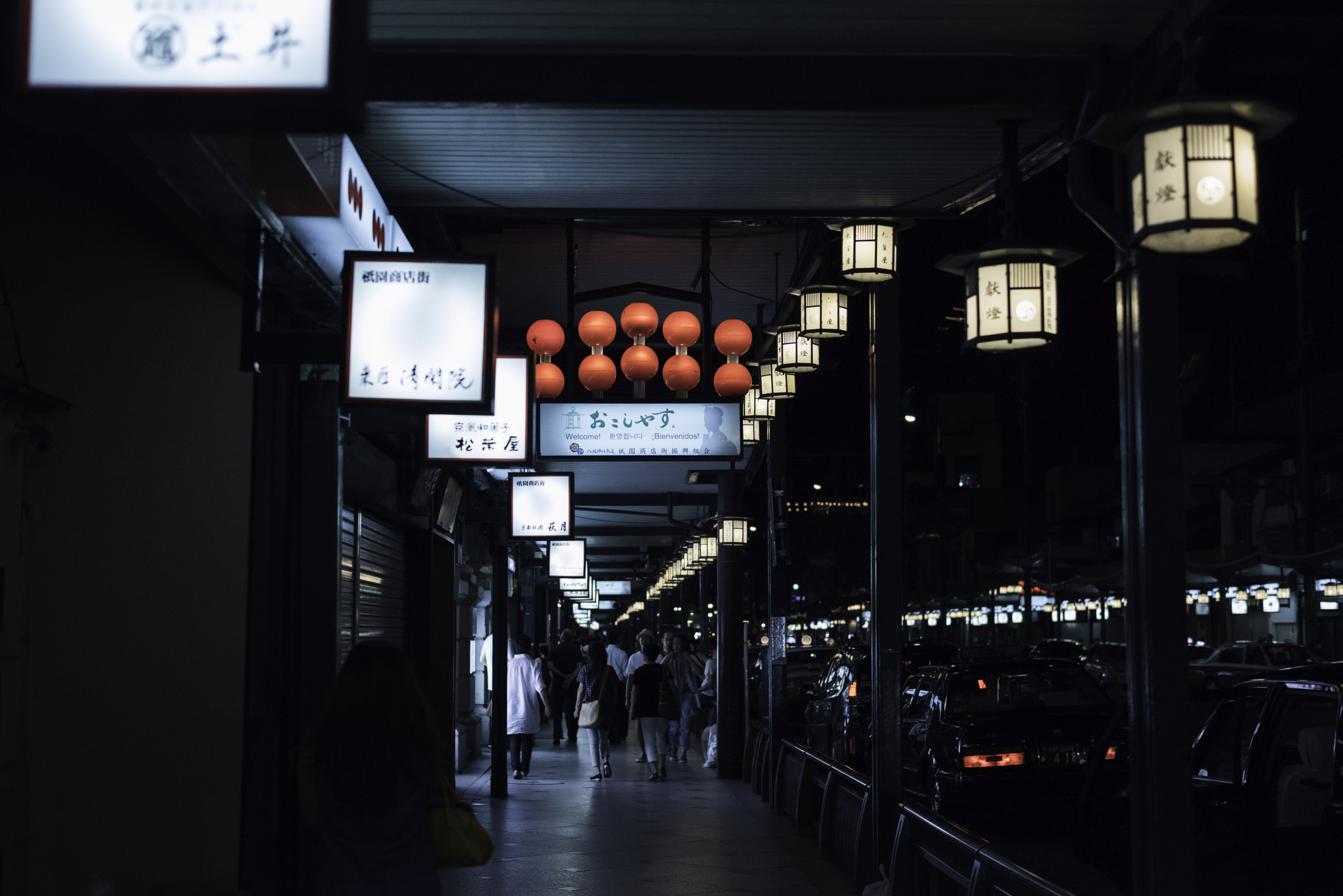 ZEISS Planar T* 50mm F1.4 sample photo. Gion lights photography
