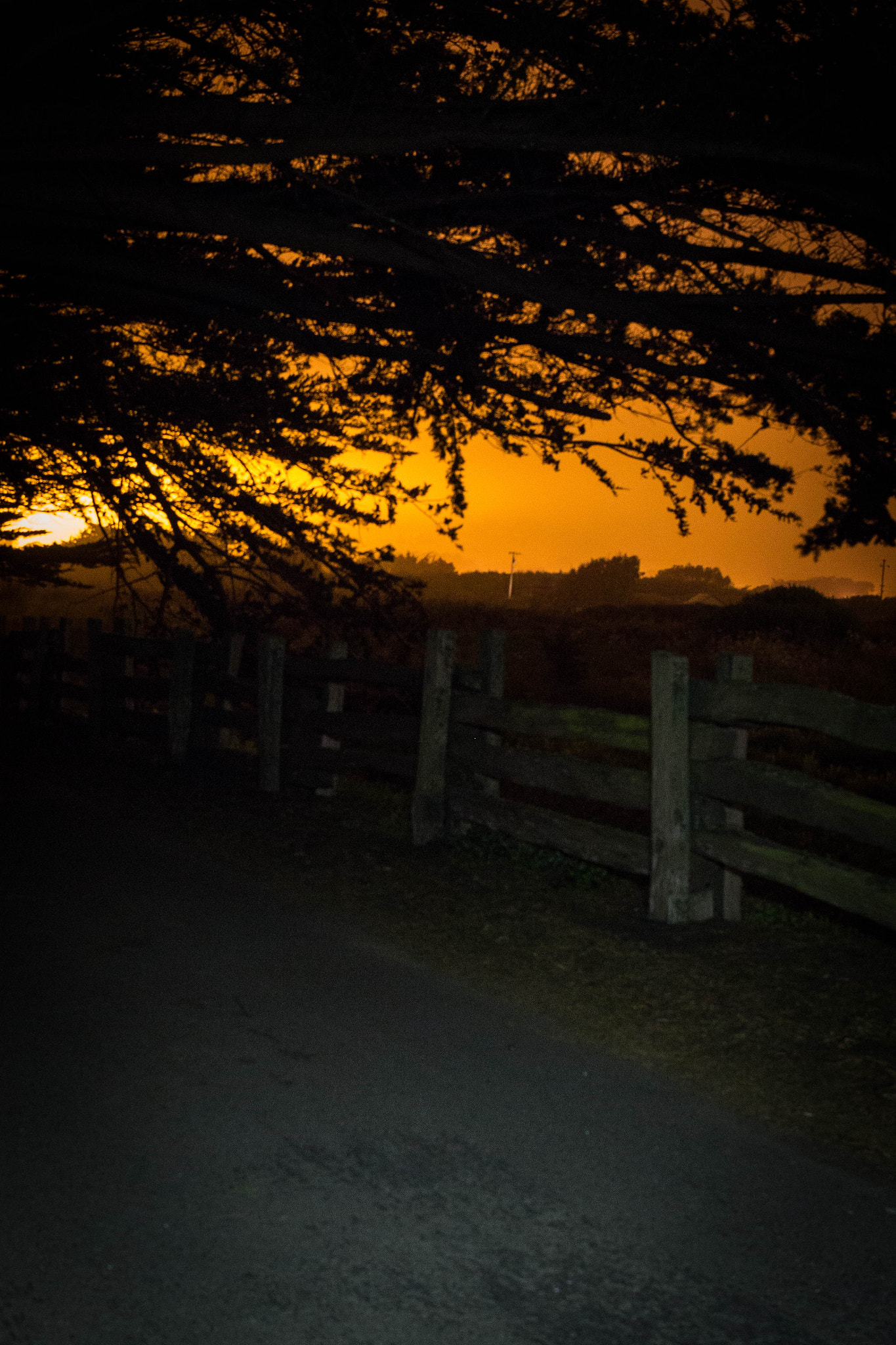 Canon EF-S 24mm F2.8 STM sample photo. Glow from san francisco photography