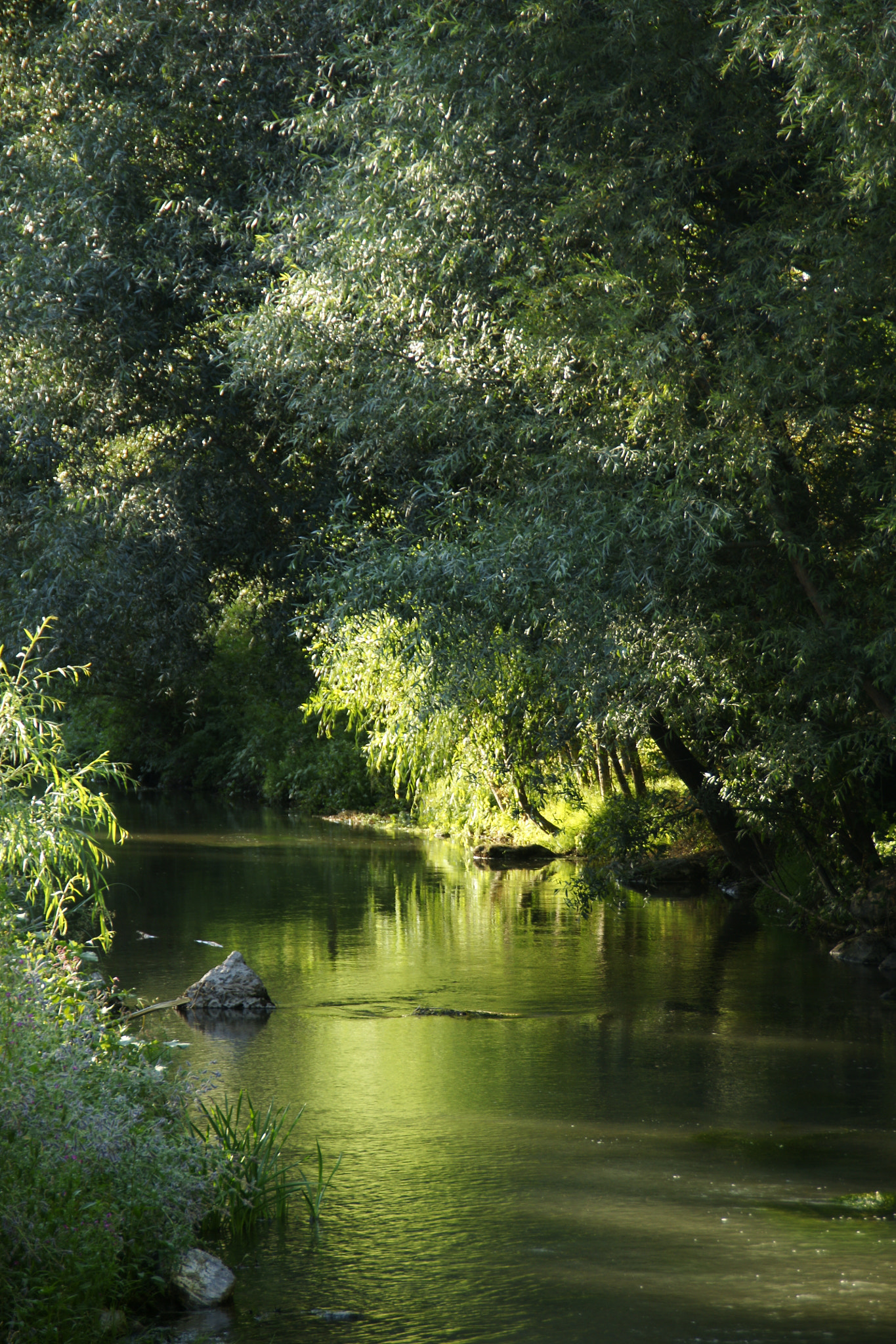 Sony Alpha DSLR-A700 sample photo