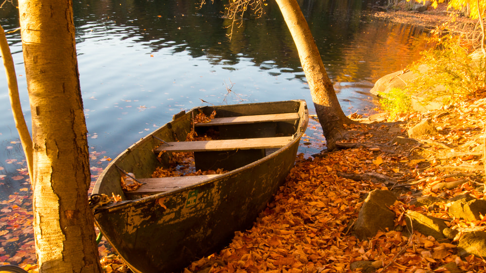 Tamron 18-270mm F3.5-6.3 Di II PZD sample photo. A romantic shot at golden hour photography