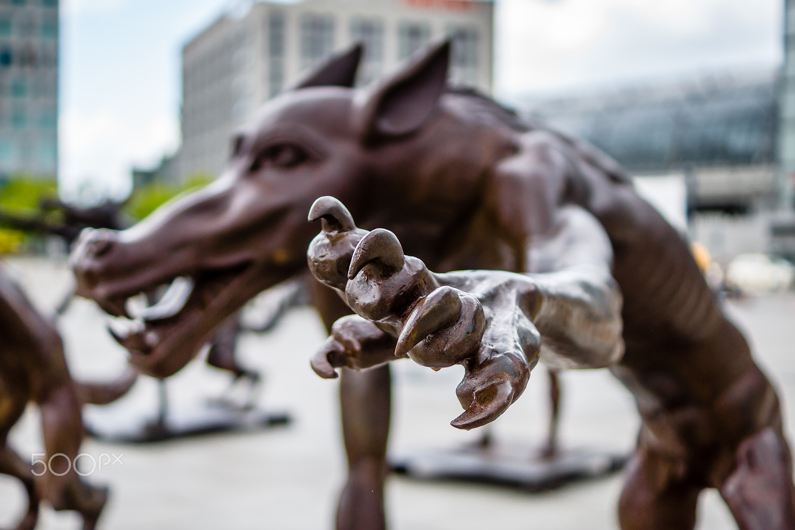 Sony SLT-A77 + Sony DT 35mm F1.8 SAM sample photo. The wolfes are back? photography