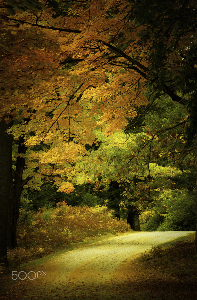Pentax K-5 II sample photo. Autumn road photography